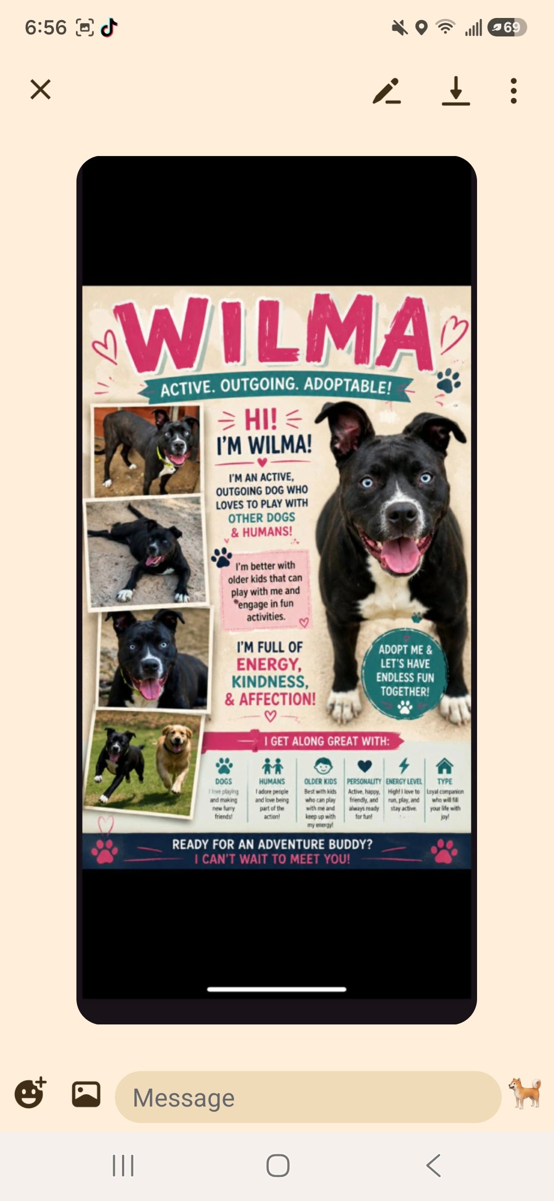 Support Mr. K's Halfway House for Hounds & Kitties Too campaign photo, 4 of 8