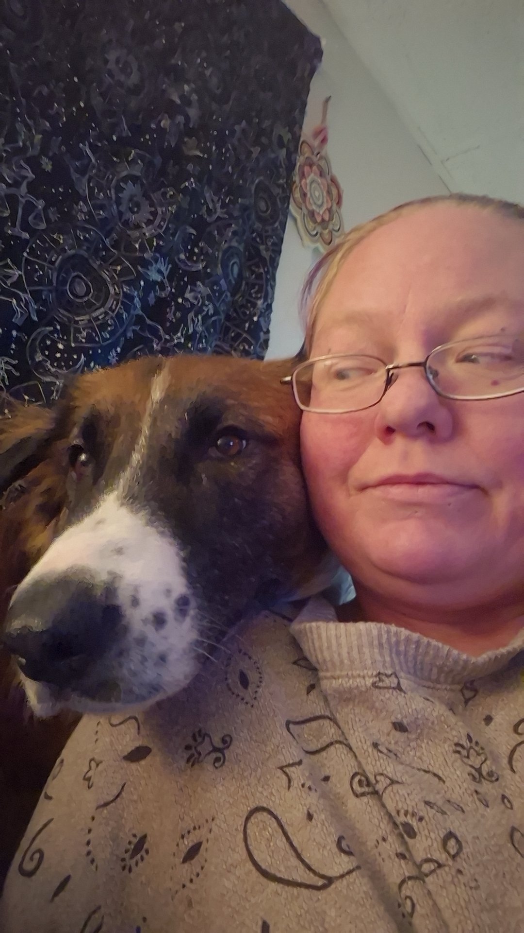 One Woman, One Dog, One More Chance to Rebuild campaign photo, 2 of 5