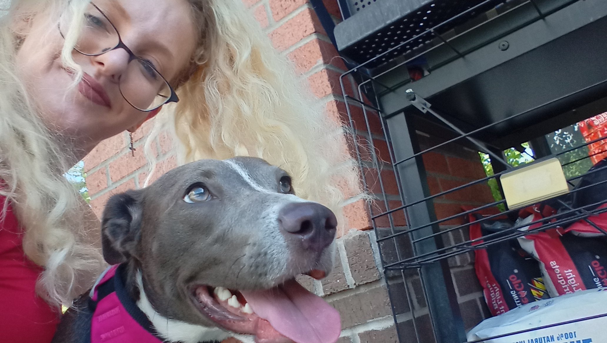 Help Noelle Cover Rent & Bills During Crisis photo