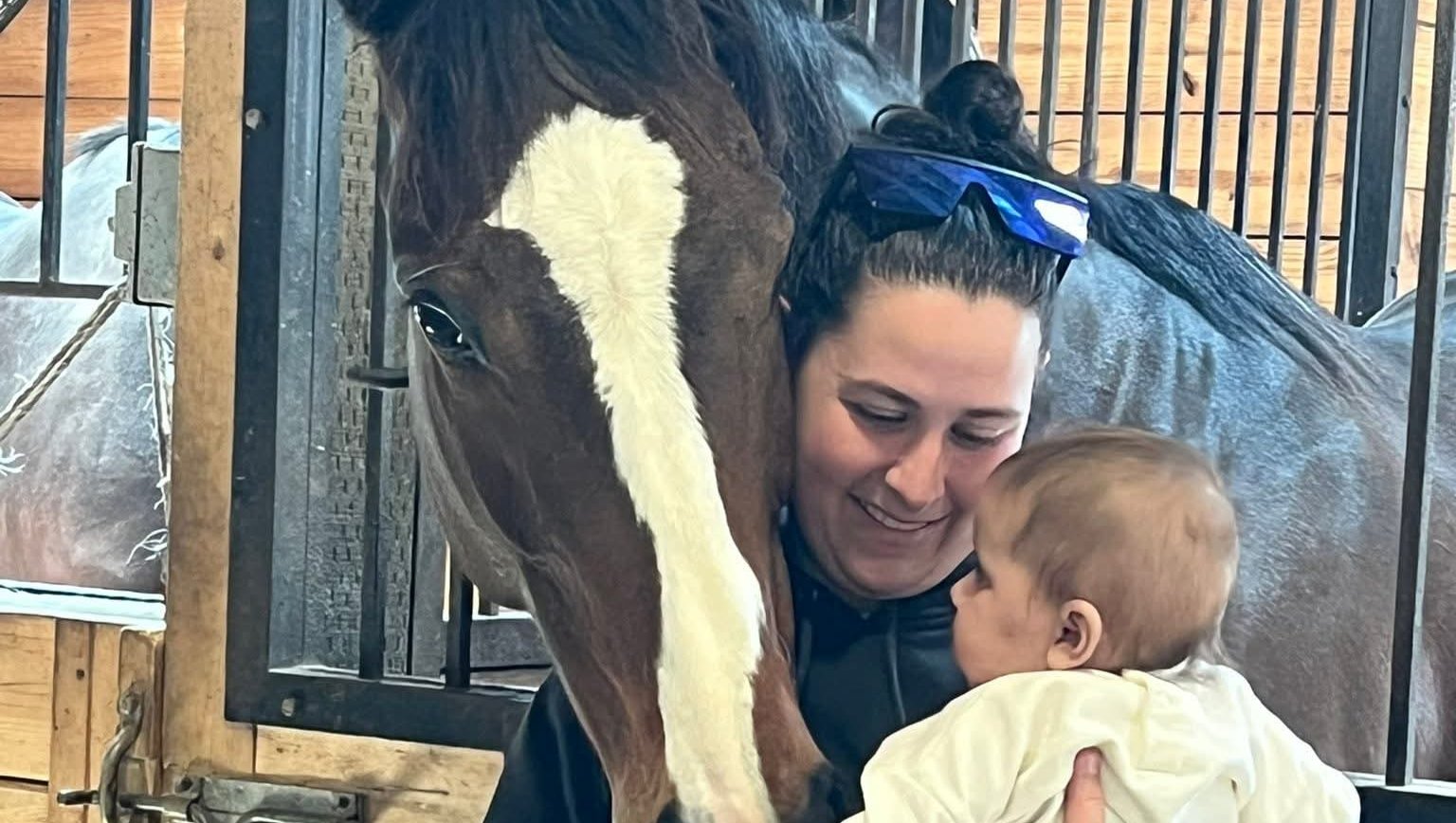 Help Rehome and Care for Retired Racehorses photo