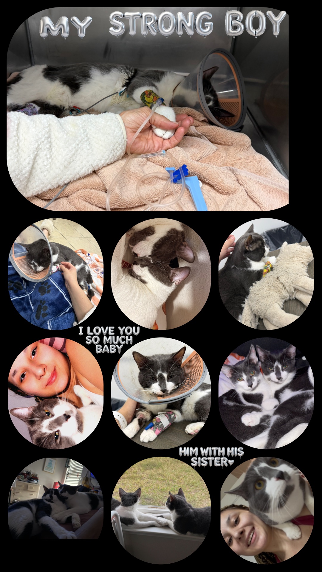 Help Leon Recover After Emergency Surgery campaign photo, 7 of 8