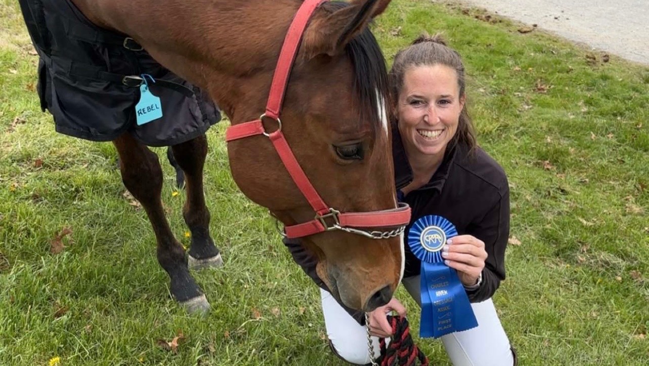 Rebel’s road to recovery from colic surgery photo
