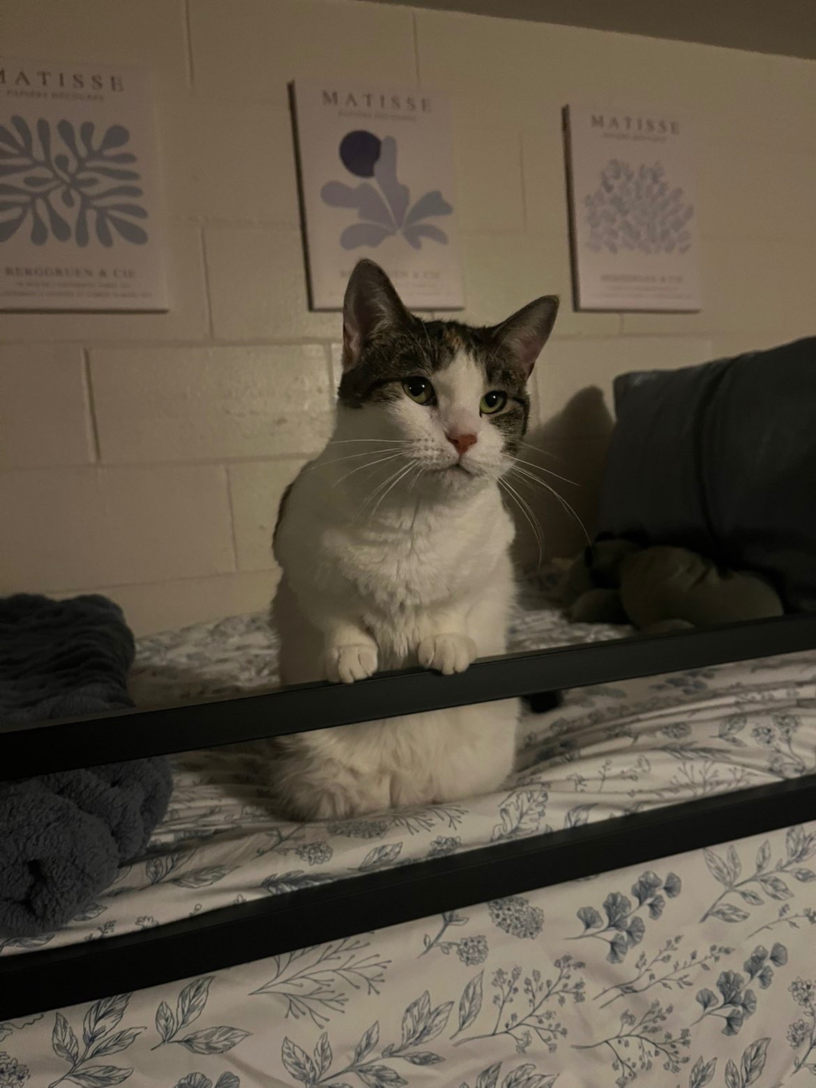 Help Kimpton Get Life-Saving Surgery campaign photo, 5 of 6
