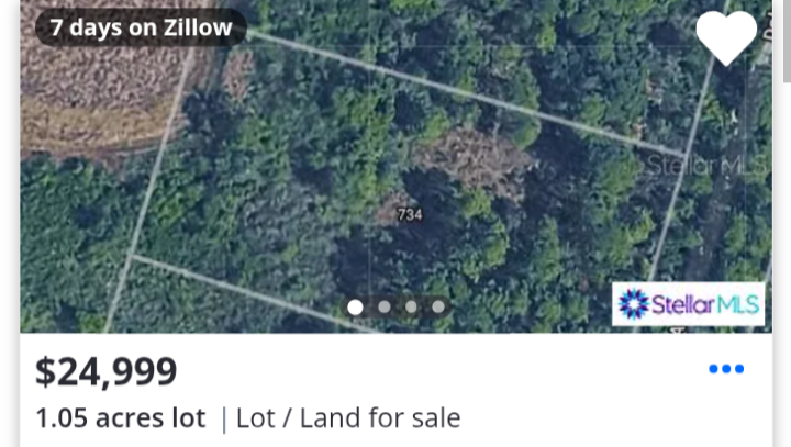 Help Our Family Start a Simple Homestead photo