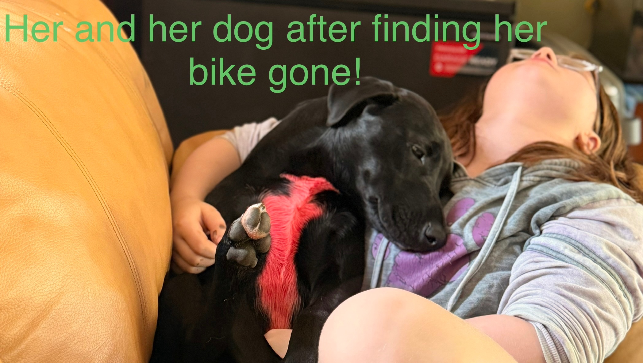 Help Ellie Get Her Bike Back for Her Birthday photo