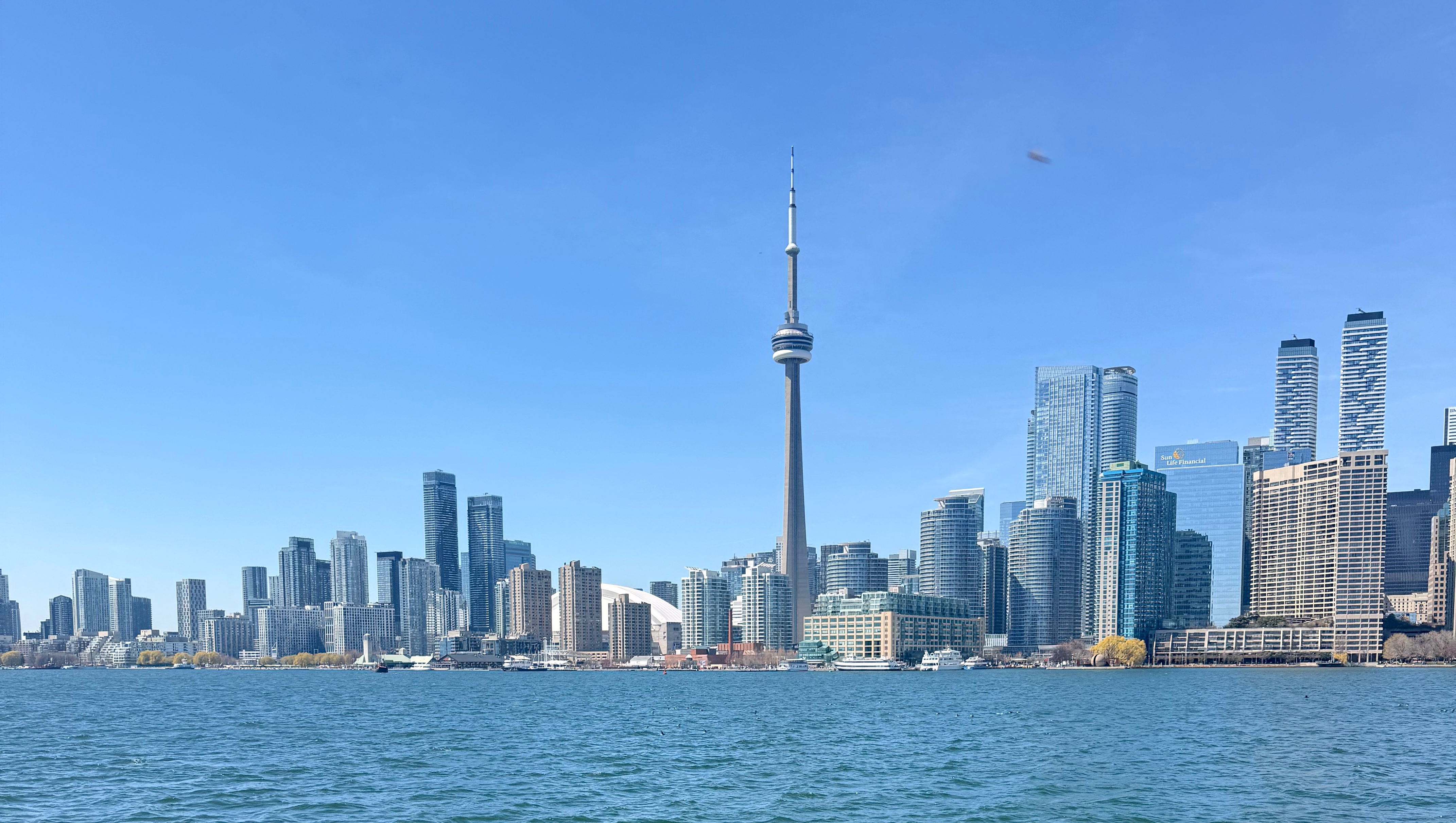 Help Me Start My New Life in Canada! photo