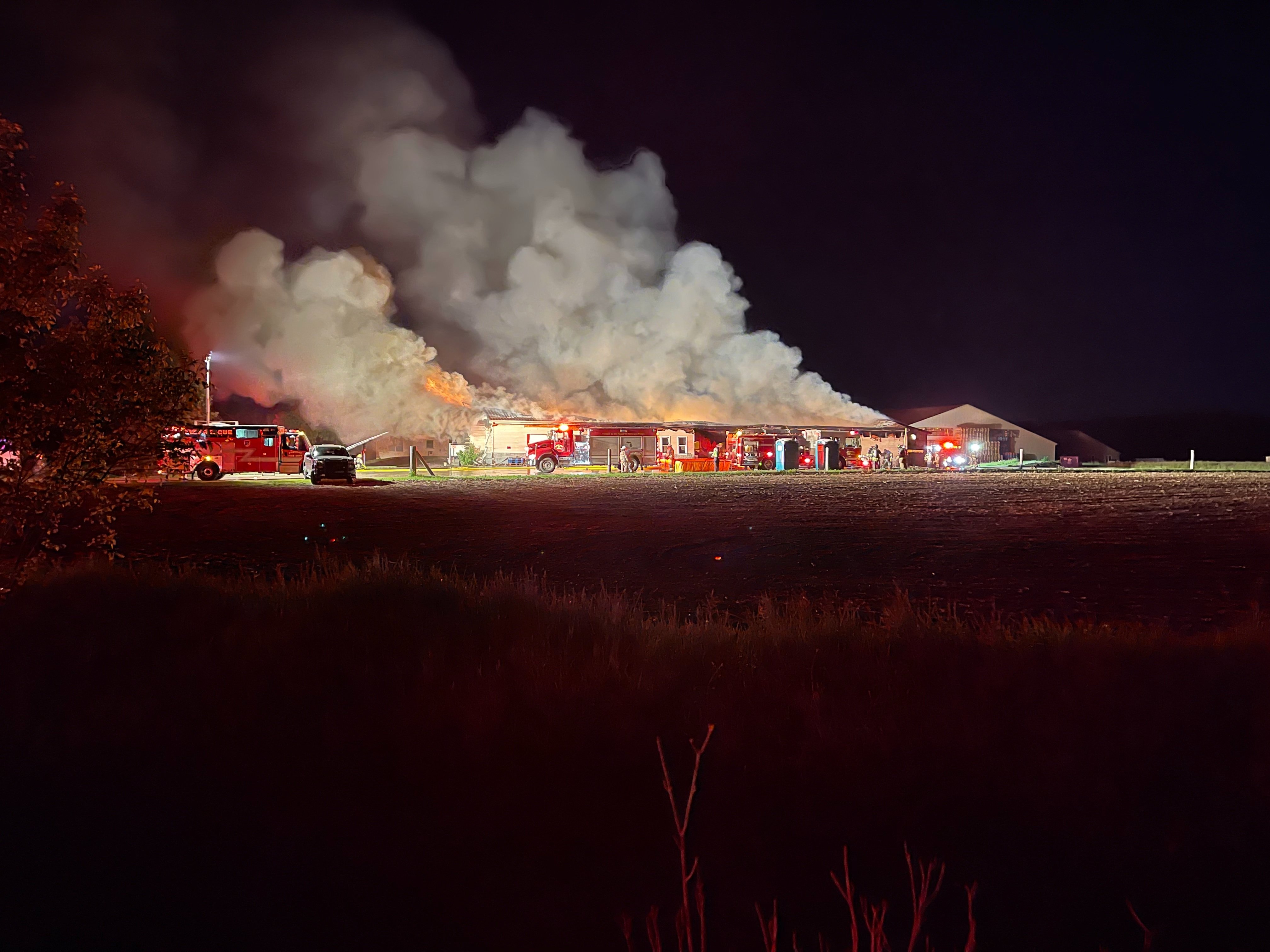 Help Rebuild Brookside Discount Grocery campaign photo, 4 of 4