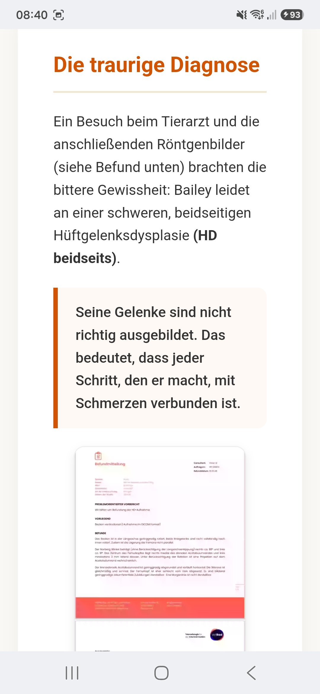 Neue Hüftgelenke Bailey muss Operiert werden Bitte helft Ihm campaign photo, 2 of 8
