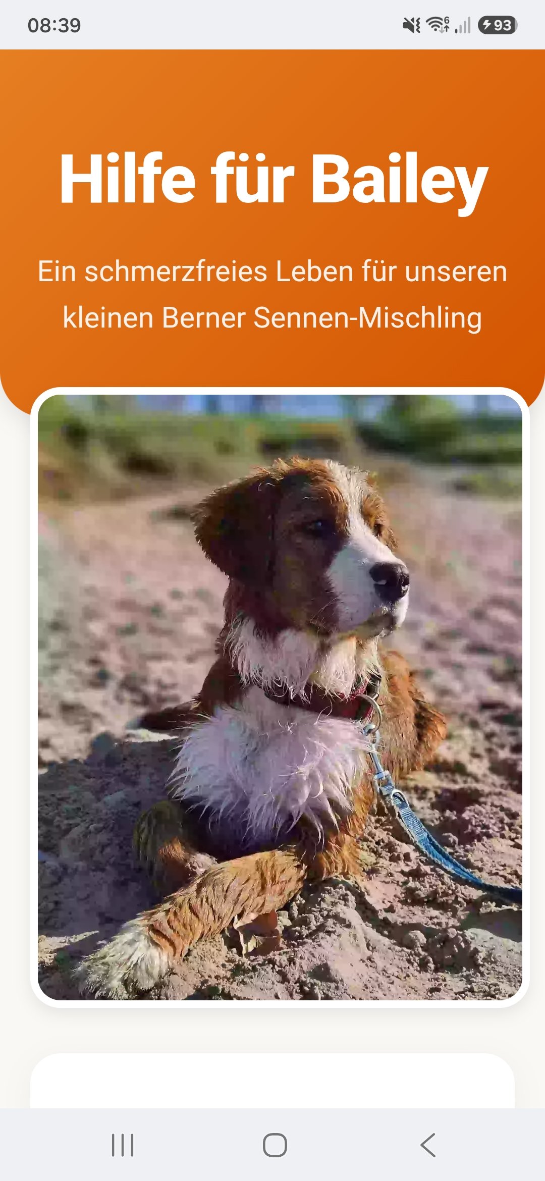 Neue Hüftgelenke Bailey muss Operiert werden Bitte helft Ihm campaign photo, 4 of 8