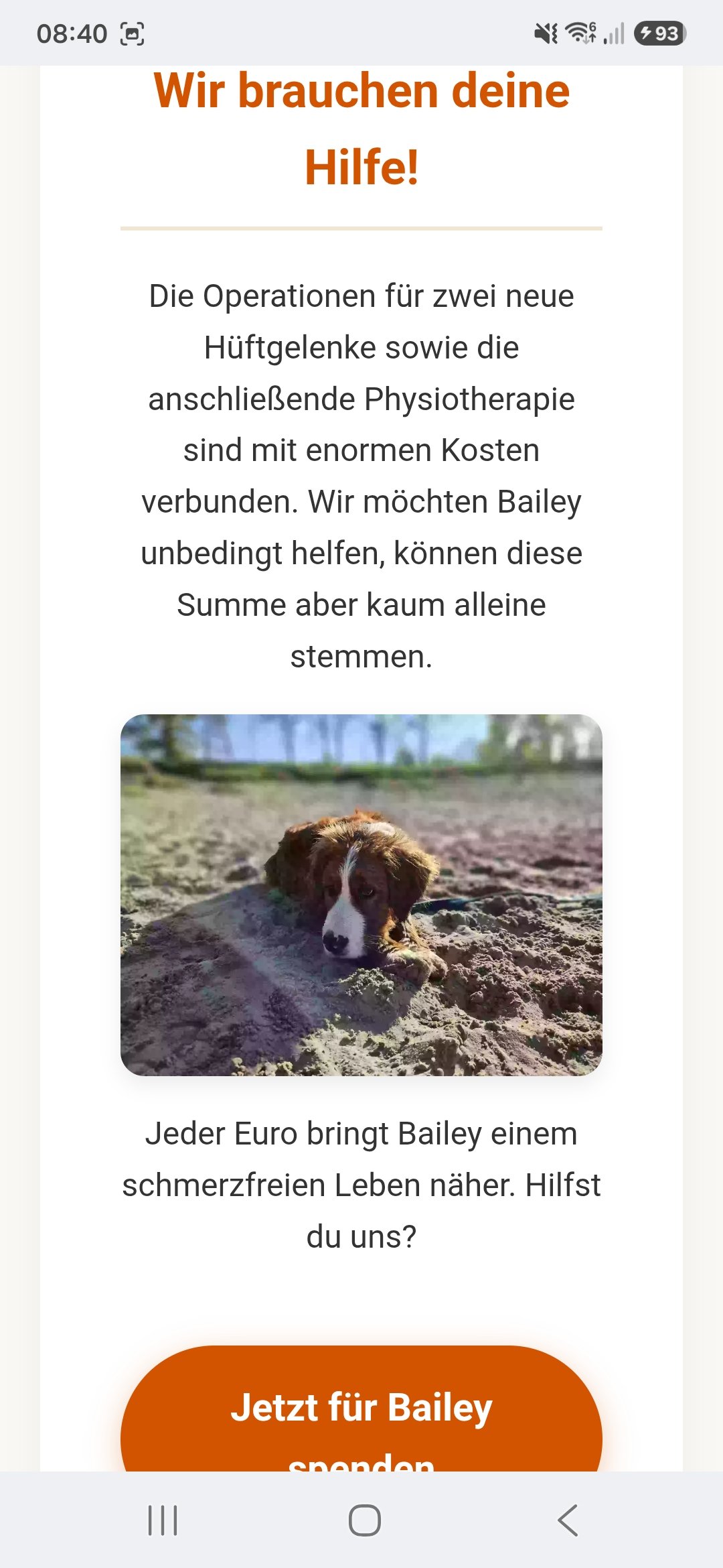 Neue Hüftgelenke Bailey muss Operiert werden Bitte helft Ihm campaign photo, 5 of 8