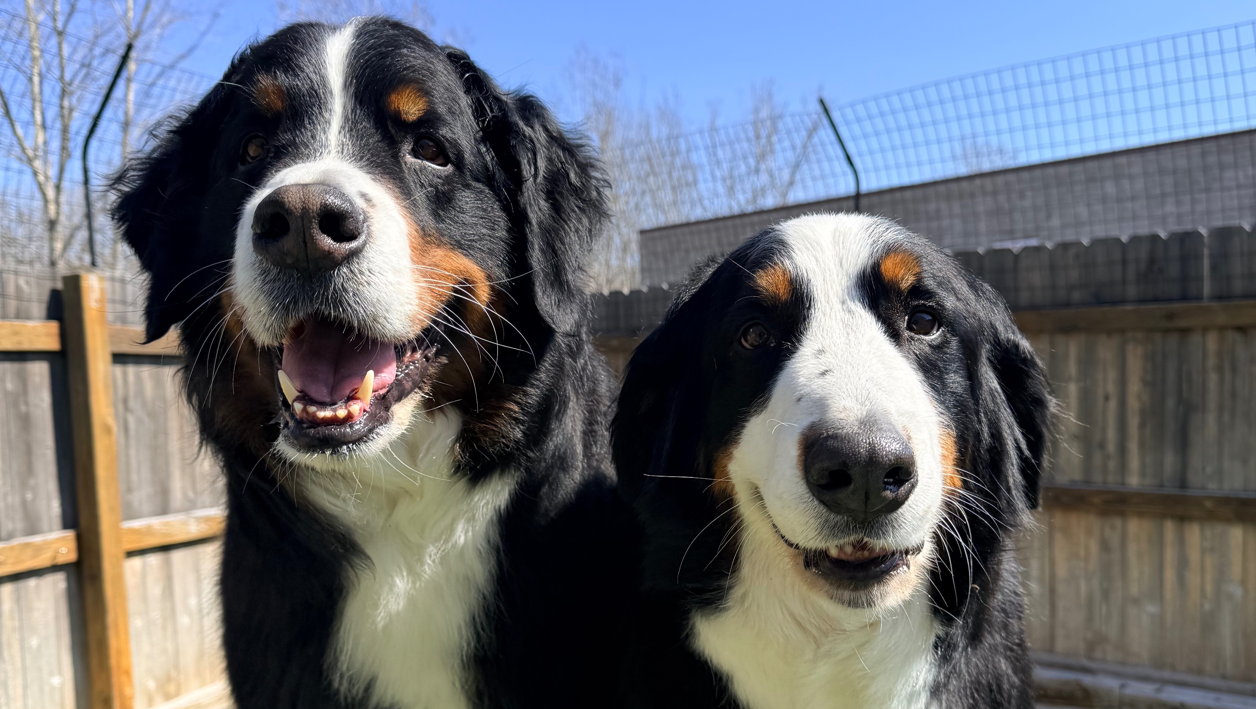 Support Stacy, Hubble & Zara During an Unimaginable Time photo
