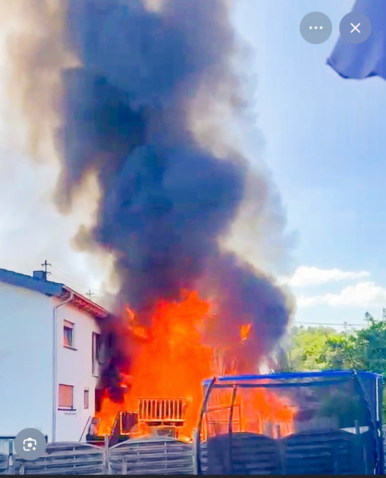 Hilfe für Hund Sky nach dem Brand in Winterbach am 27. Mai campaign photo, 4 of 8