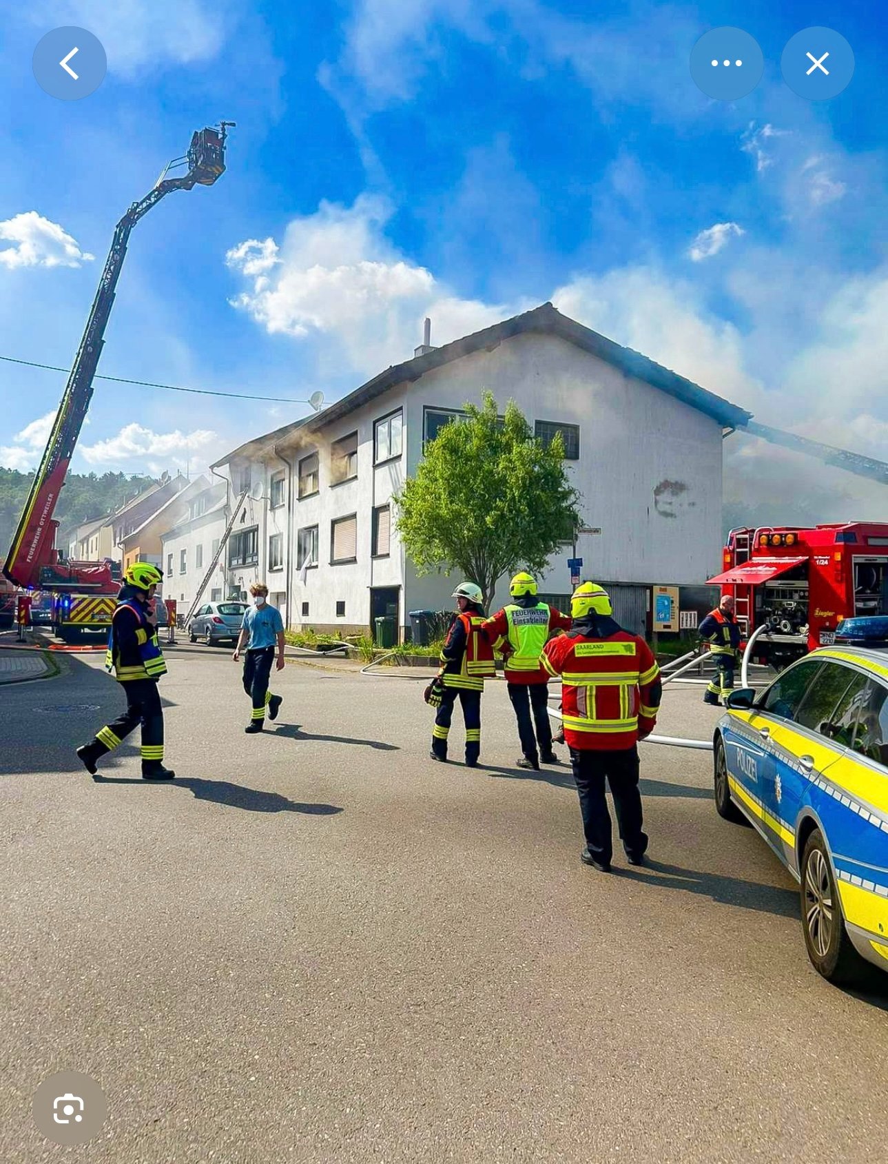 Hilfe für Hund Sky nach dem Brand in Winterbach am 27. Mai campaign photo, 6 of 8