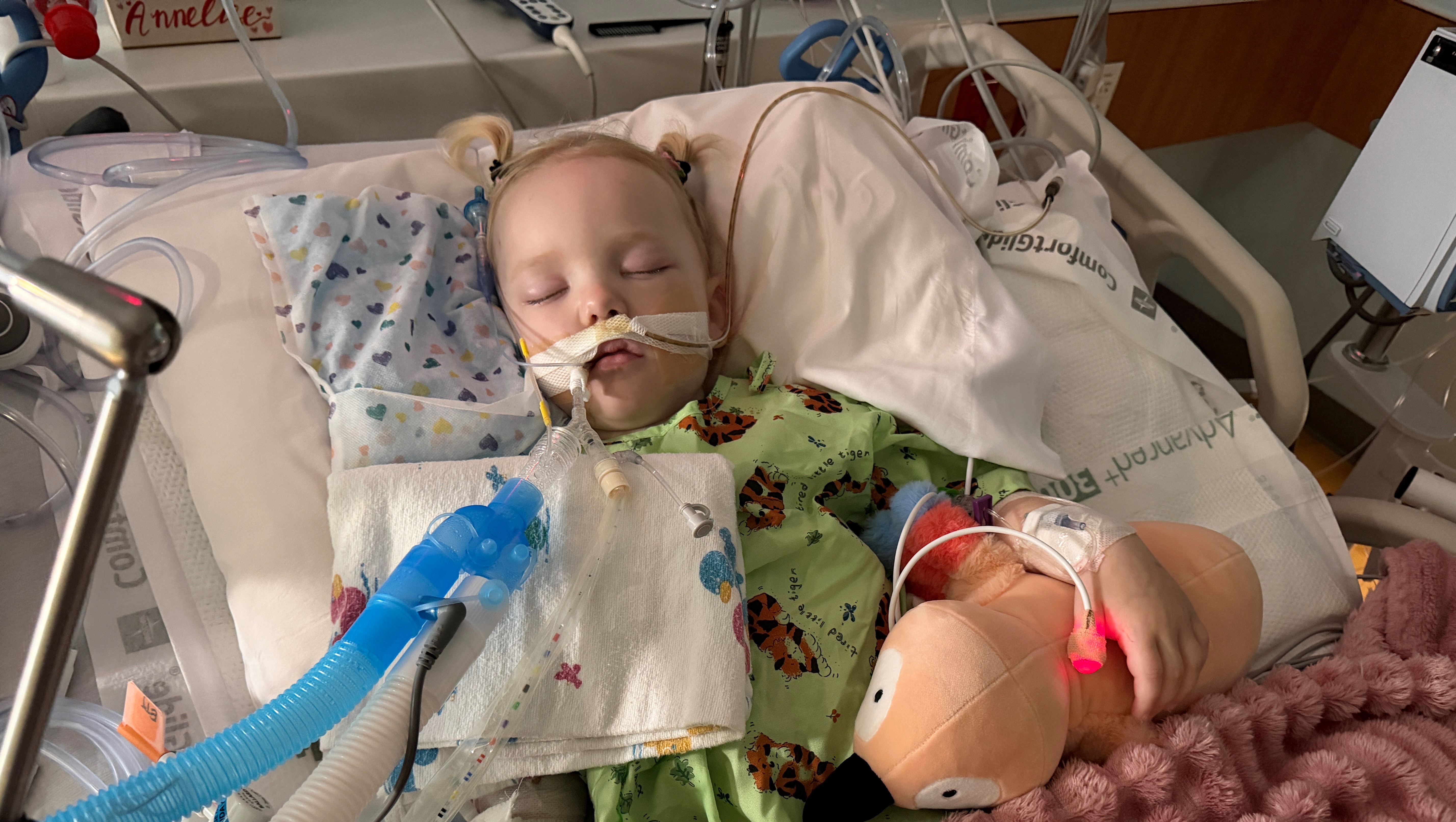 Donate to Support for Annelise&rsquo;s Healing Journey, organized by Rachel Davis