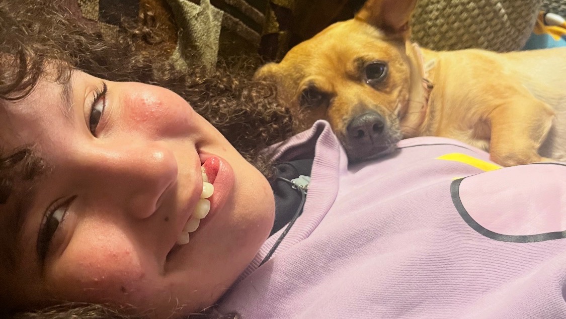 Help Clover Survive Her Medical Emergency photo