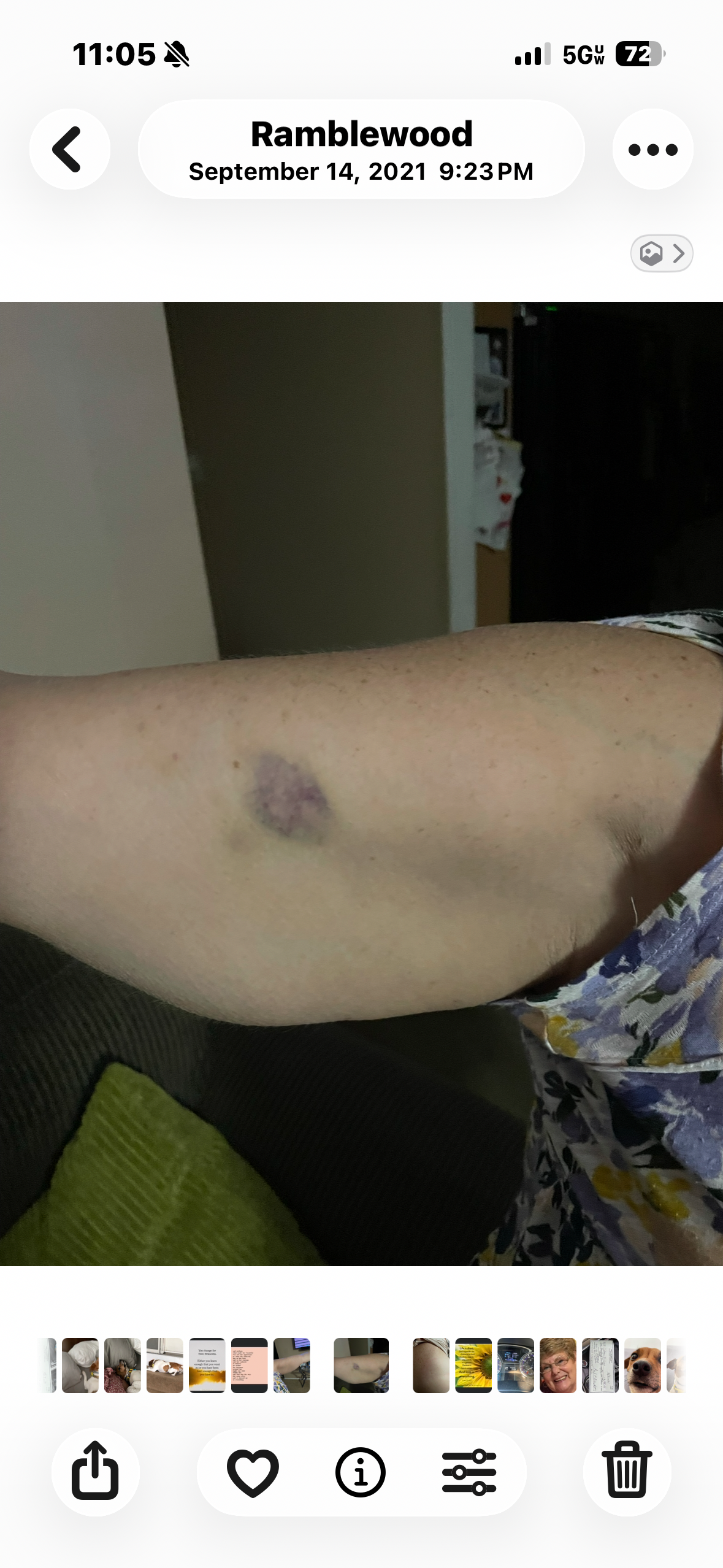 Help Me Recover from Domestic Abuse campaign photo, 4 of 6