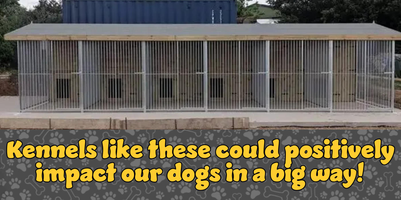 Help Build Kennels in Keighley for Dogs in Need! campaign photo, 2 of 5