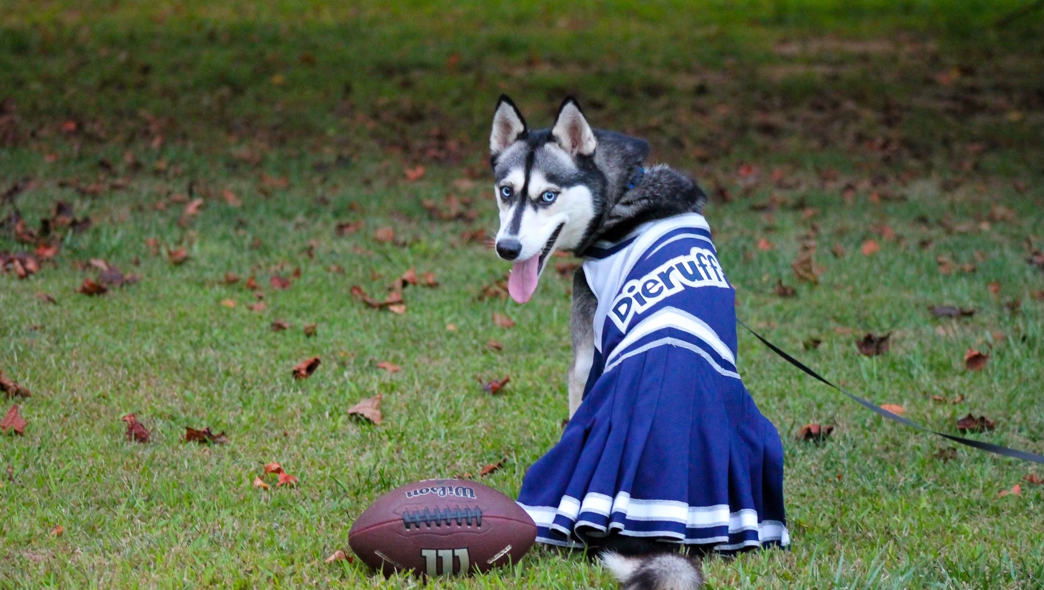 Fundraiser by Curt Swoyer : Help Kiska, Dieruff HS Mascot, Get Surgery