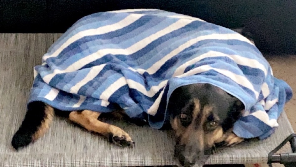 Support Jaxx's Fight Against Cancer photo