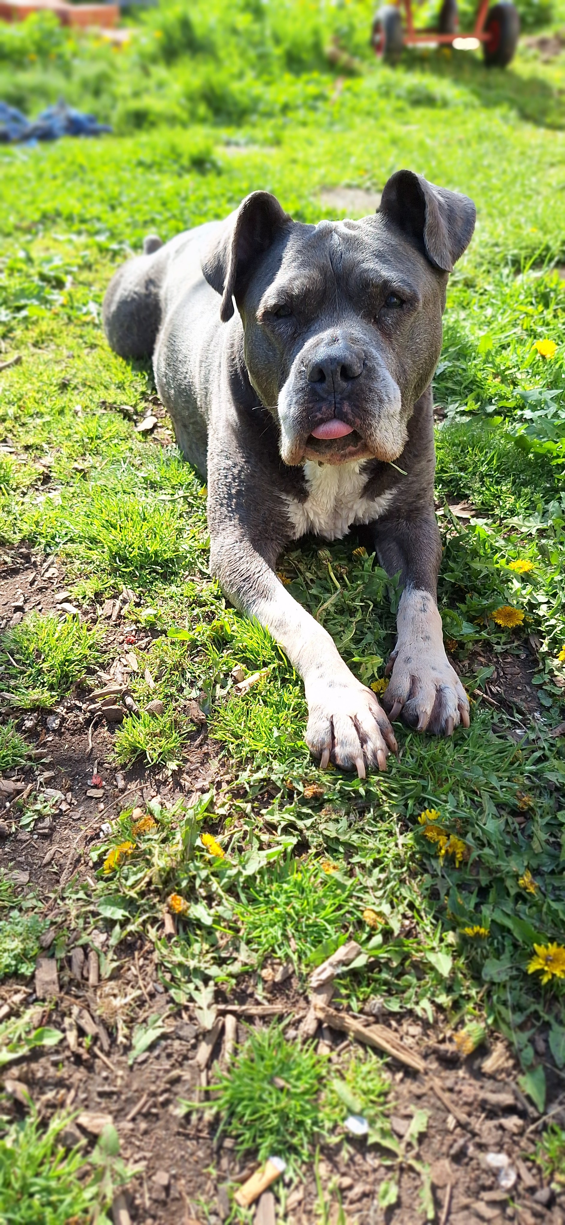 Kampagnen-Foto für Amelie will Leben! Lebensrettende Op für Amelie! , 5 von 7