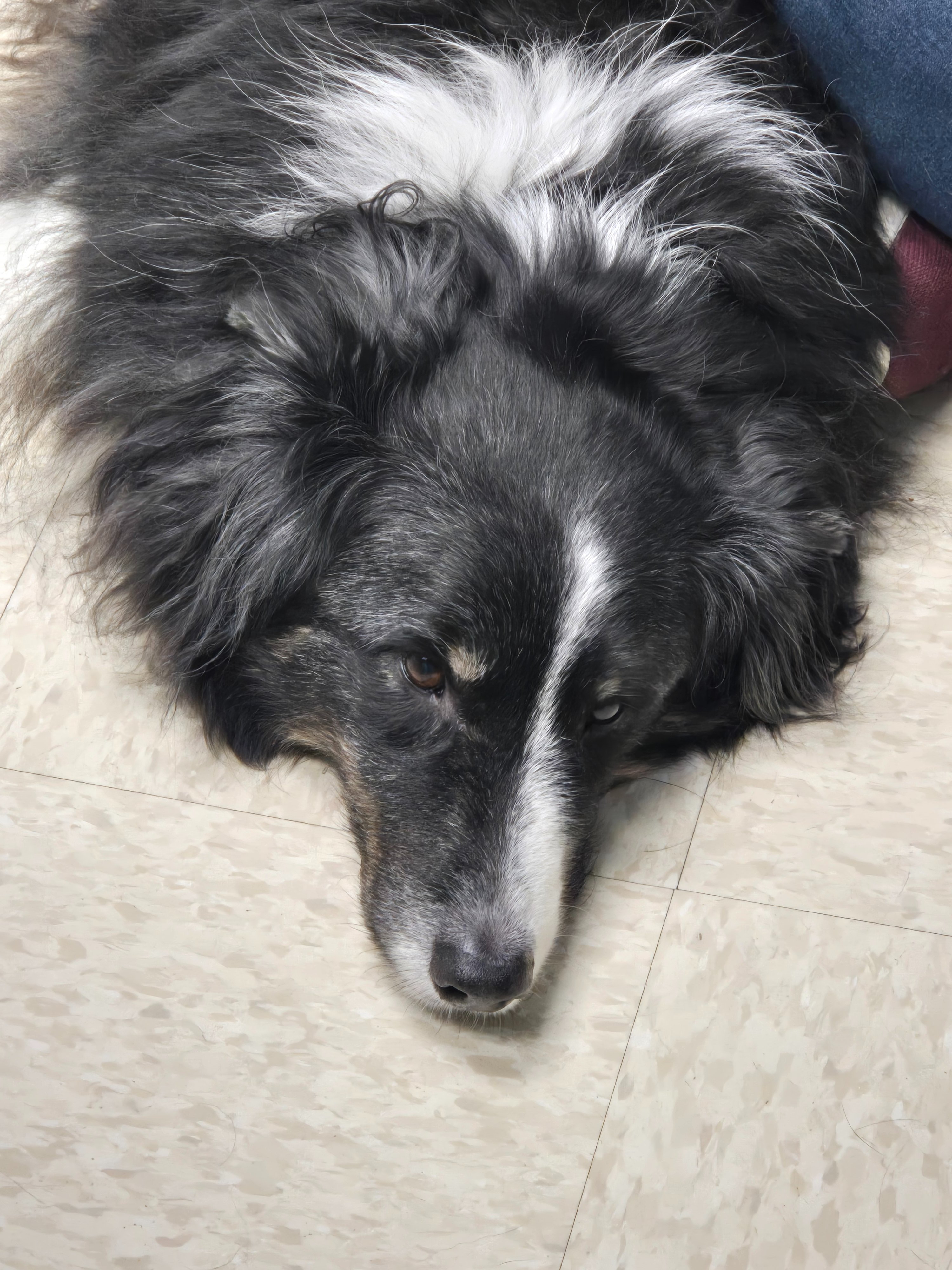 Help Wesson Get Urgent Oncological Diagnosis campaign photo, 6 of 6
