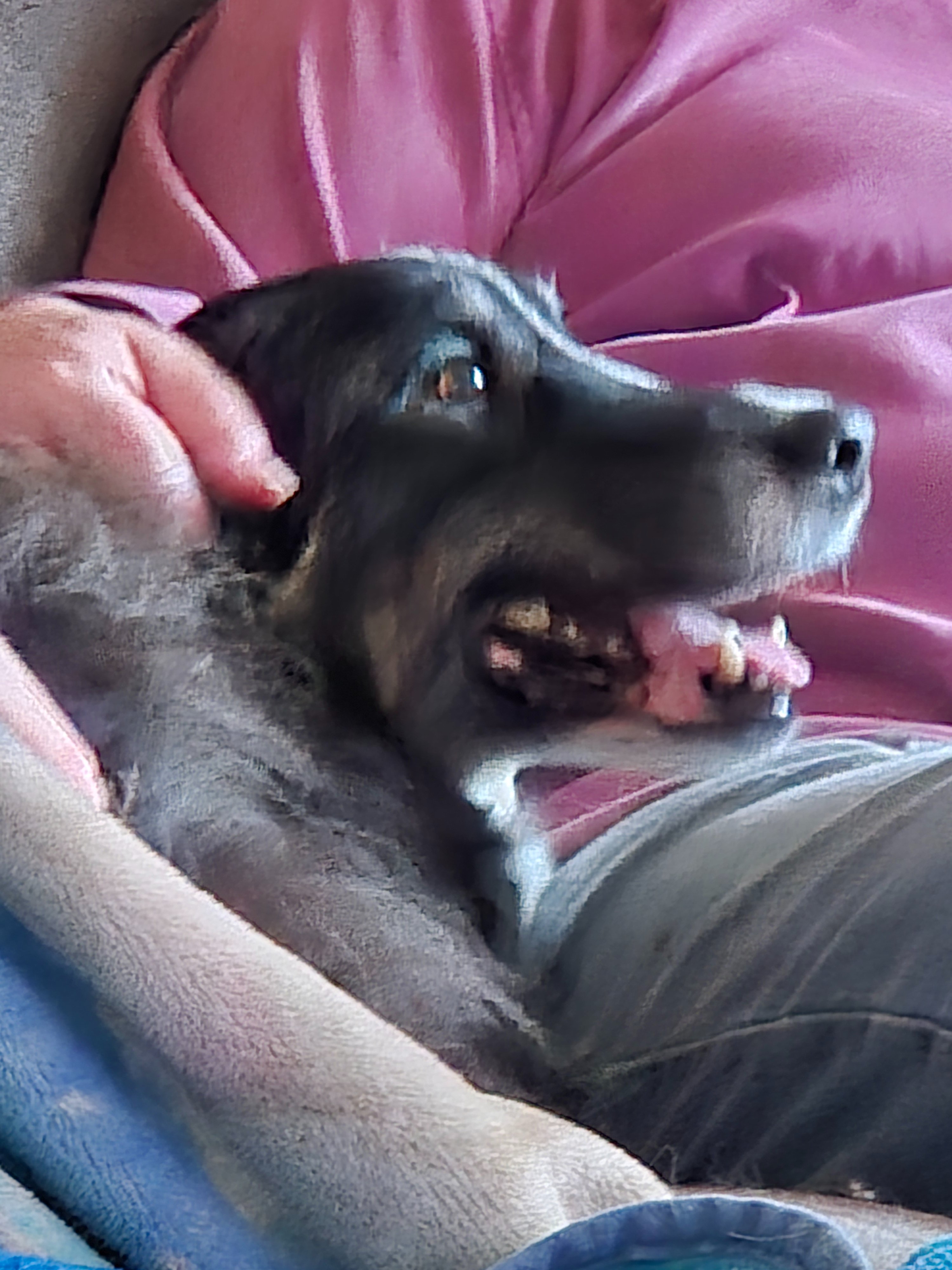 Help Wesson Get Urgent Oncological Diagnosis campaign photo, 2 of 6