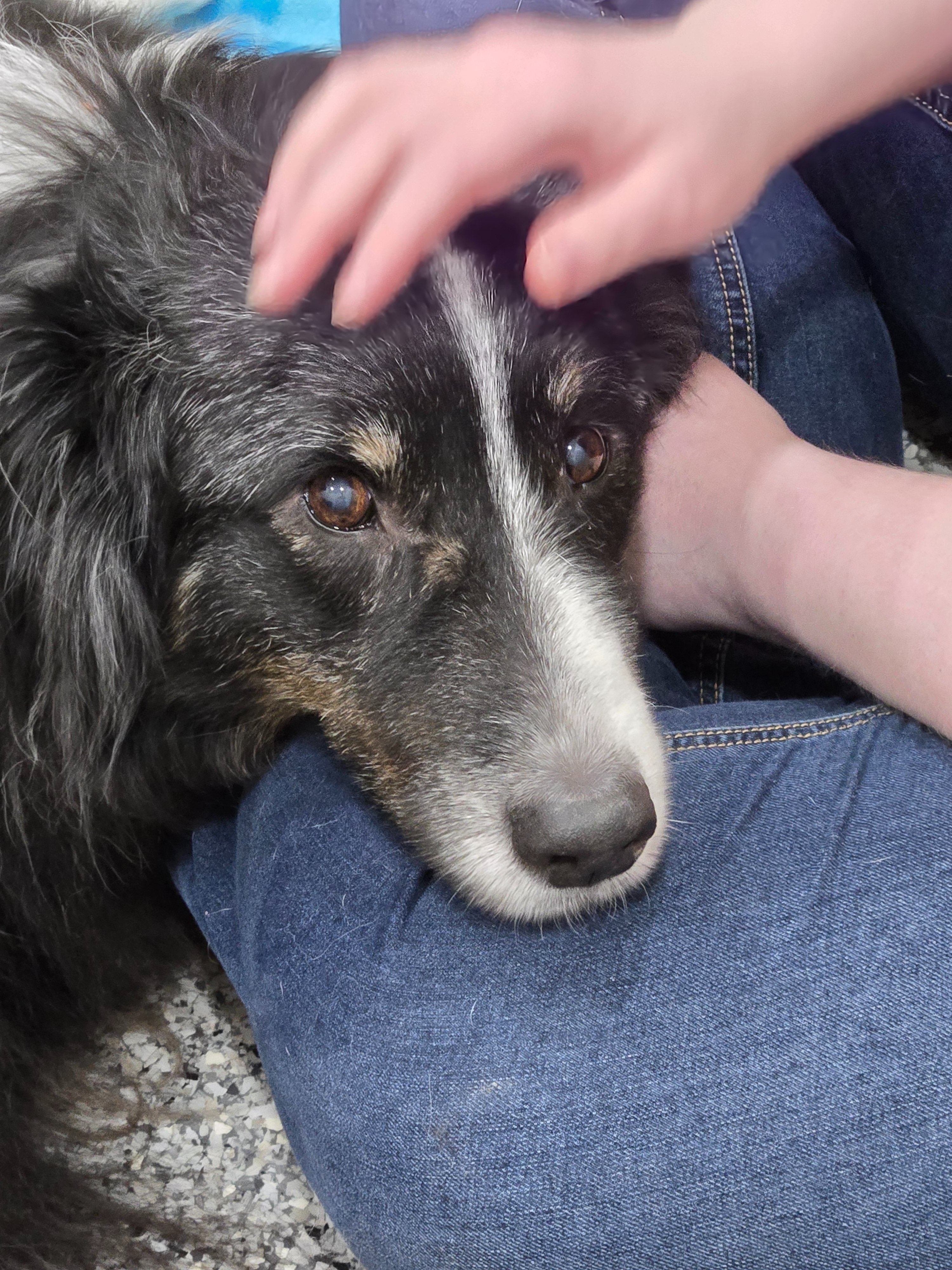 Help Wesson Get Urgent Oncological Diagnosis campaign photo, 5 of 6