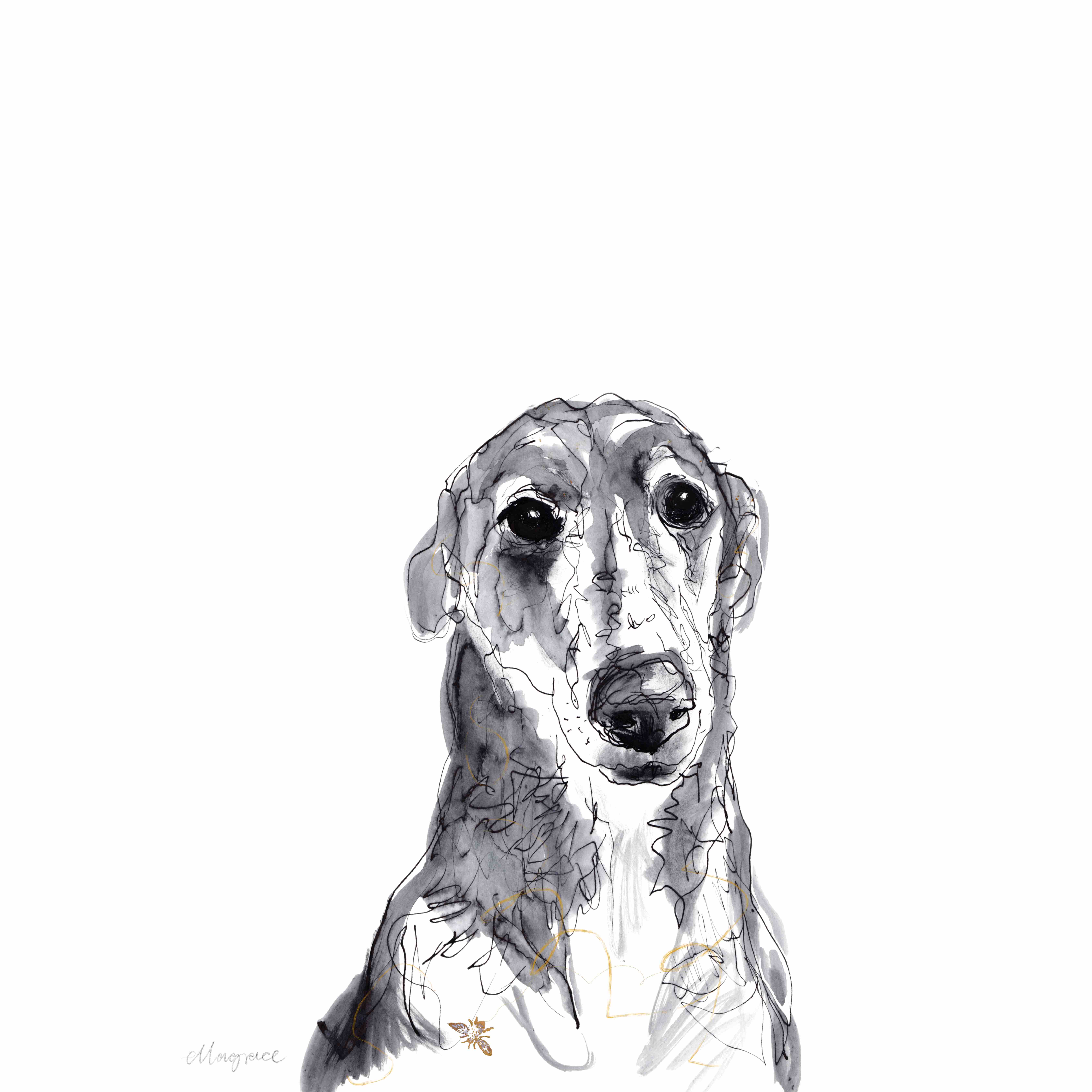 One Dog at a Time campaign photo, 2 of 13