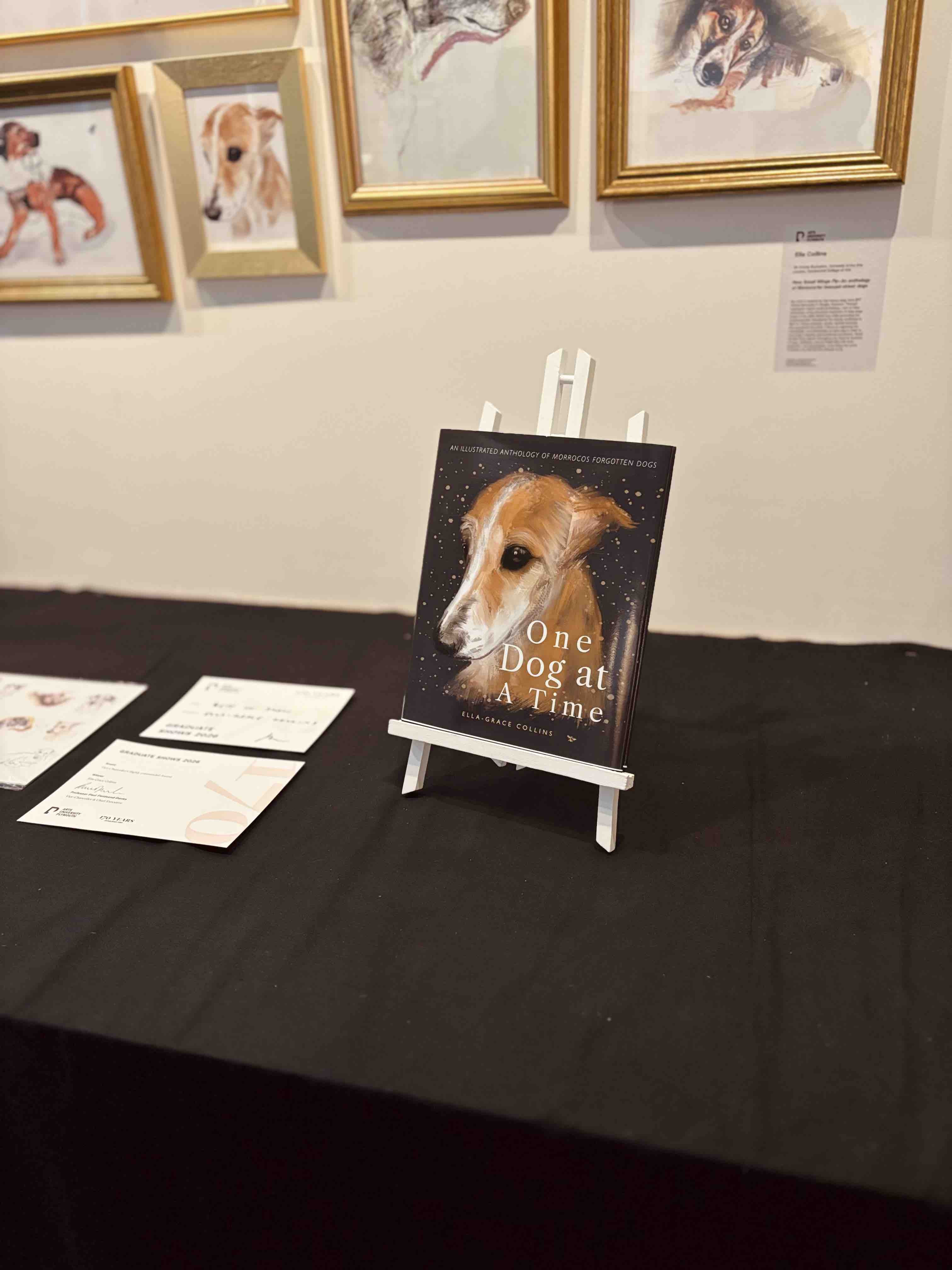 One Dog at a Time campaign photo, 4 of 13