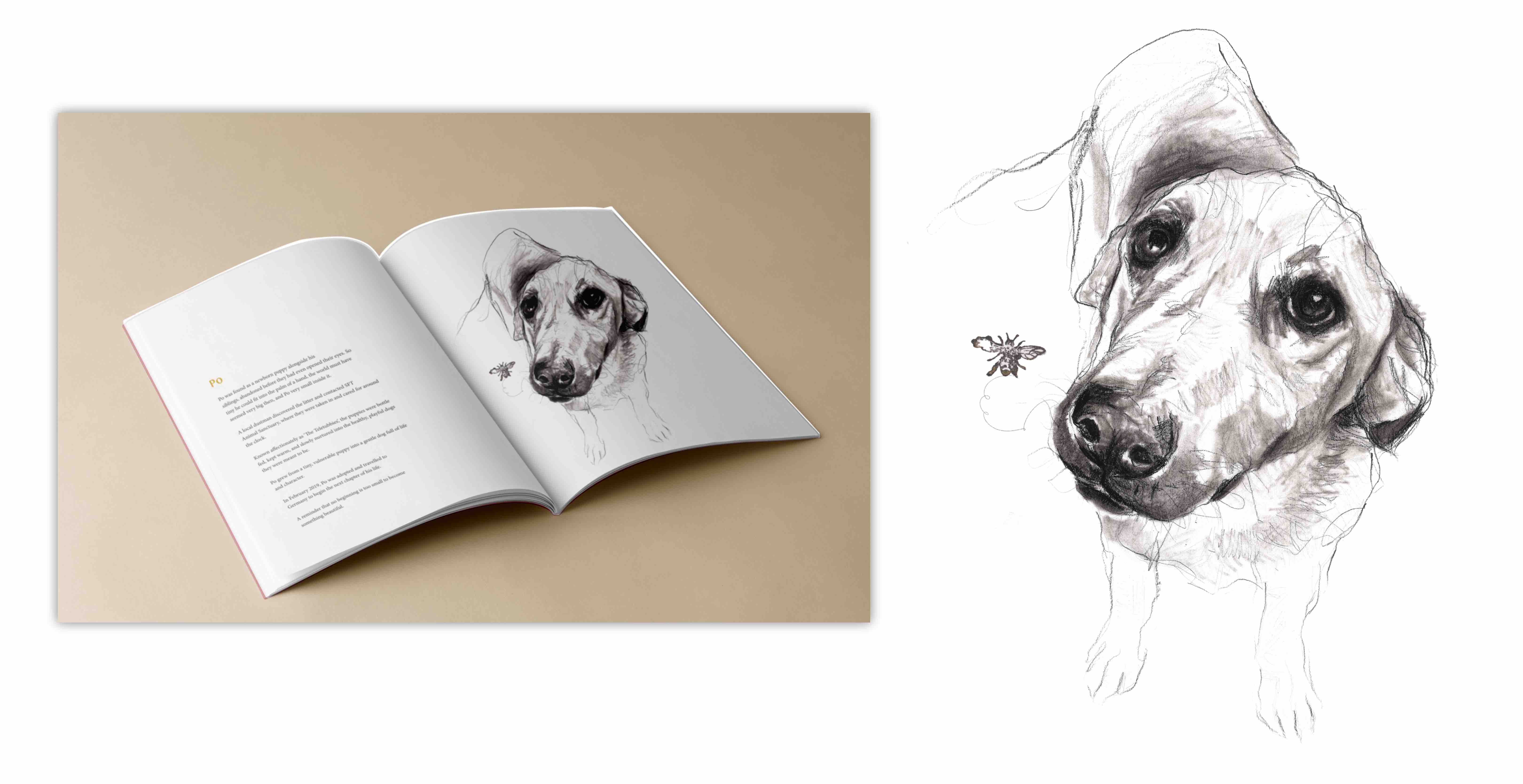 One Dog at a Time campaign photo, 9 of 13
