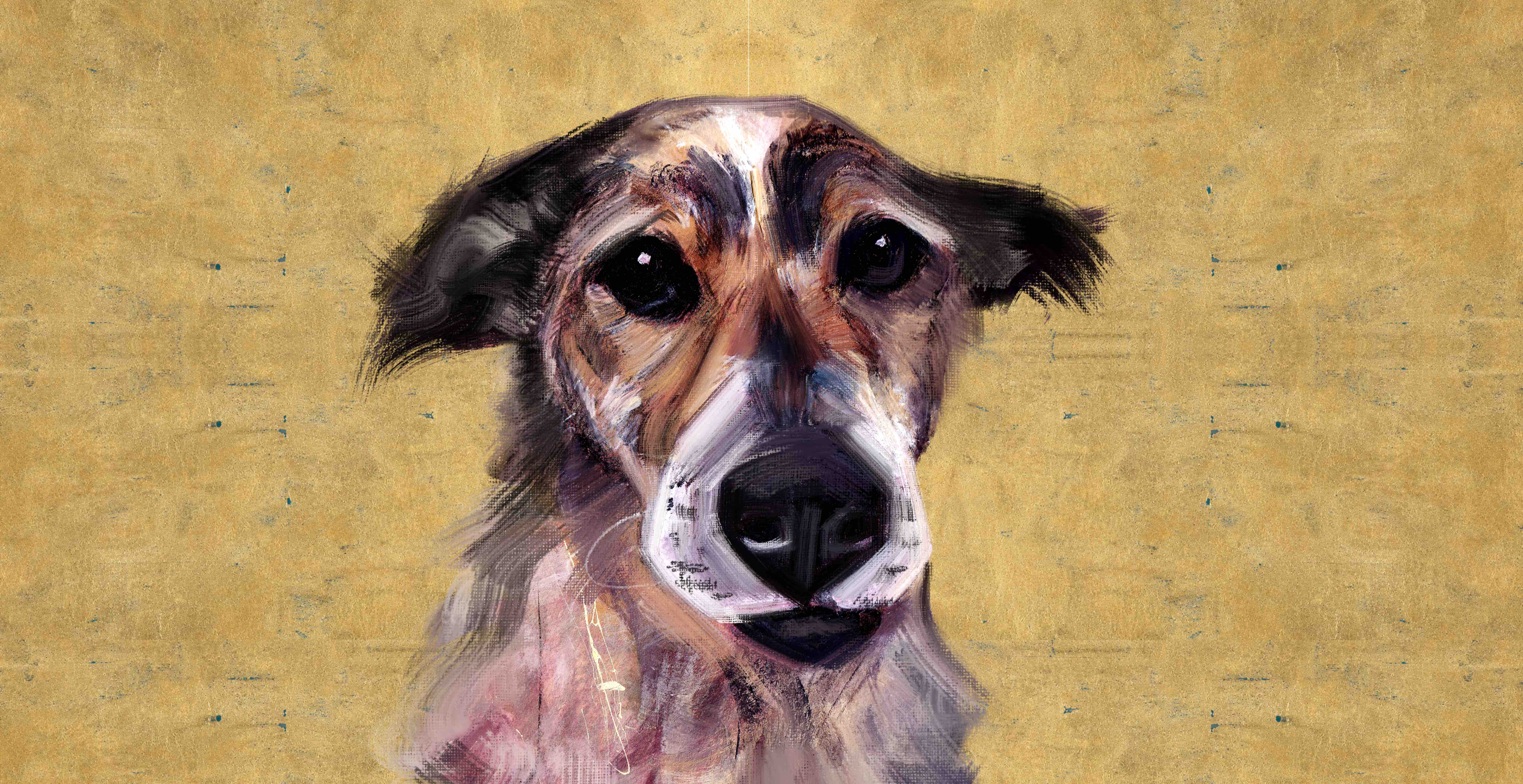 One Dog at a Time campaign photo, 10 of 13