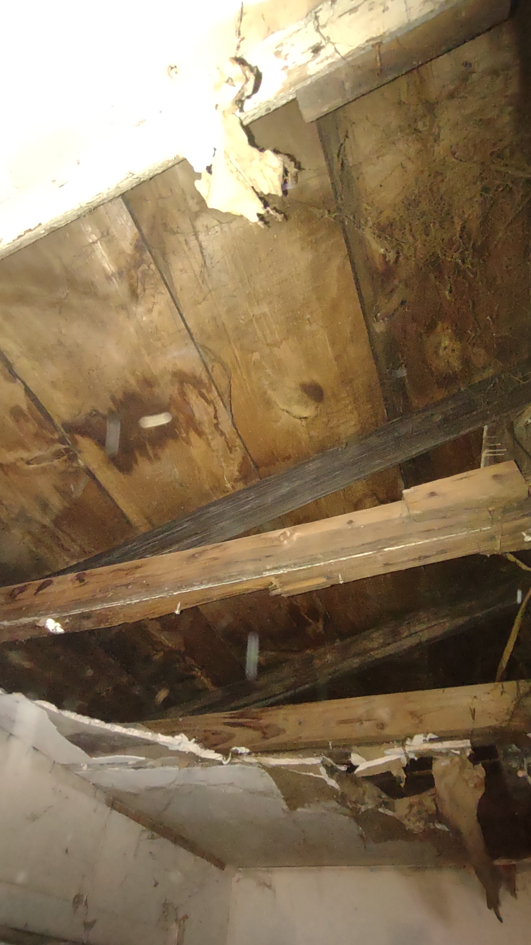Help Fix Brenda and Justin’s Roof Before the Storms campaign photo, 4 of 8
