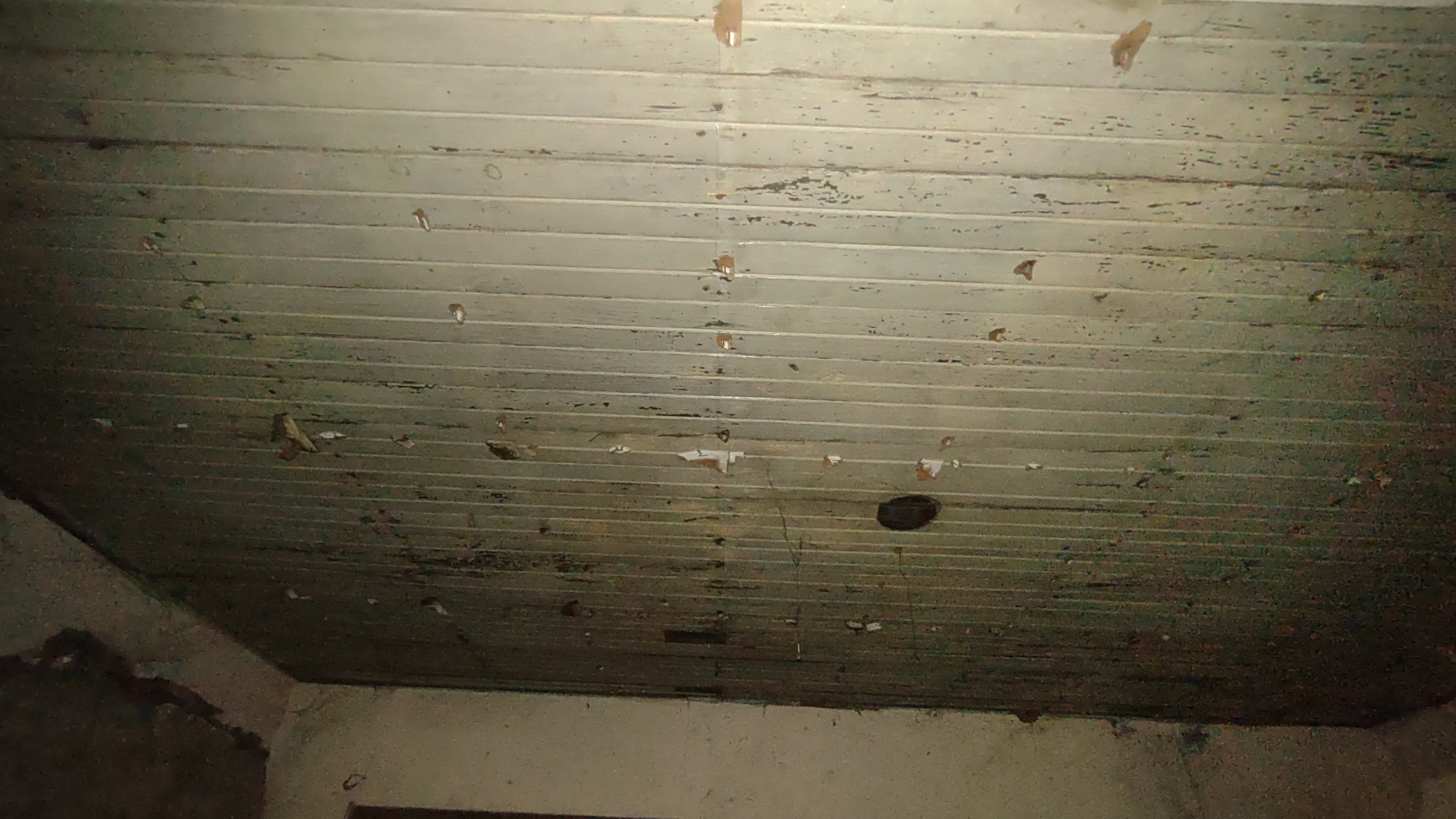 Help Fix Brenda and Justin’s Roof Before the Storms campaign photo, 5 of 8