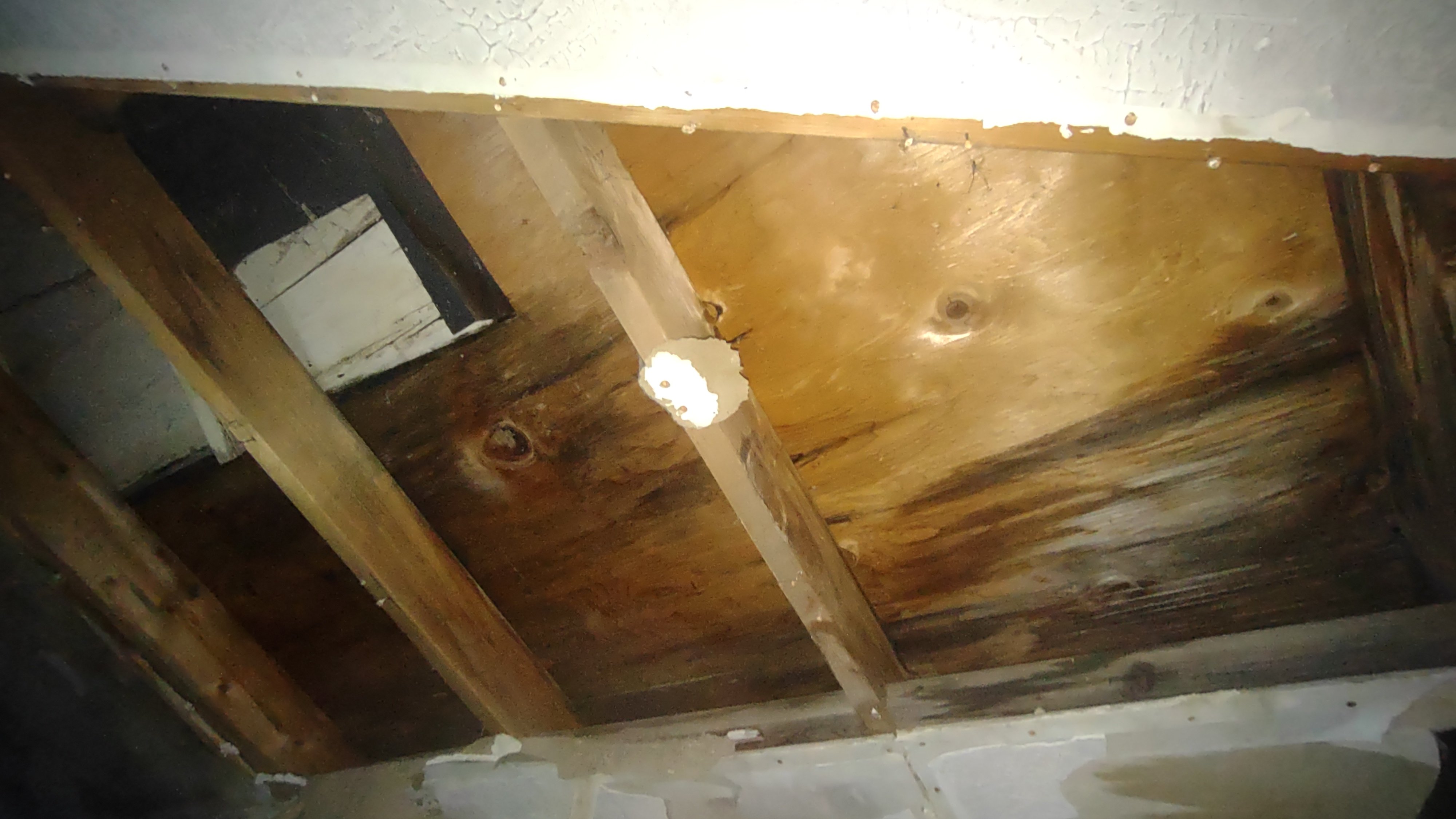 Help Fix Brenda and Justin’s Roof Before the Storms campaign photo, 6 of 8