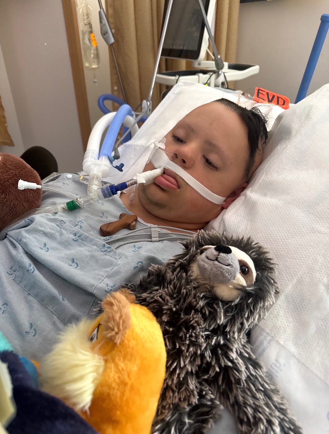 Help Bring Logan Home after a stroke campaign photo, 5 of 8