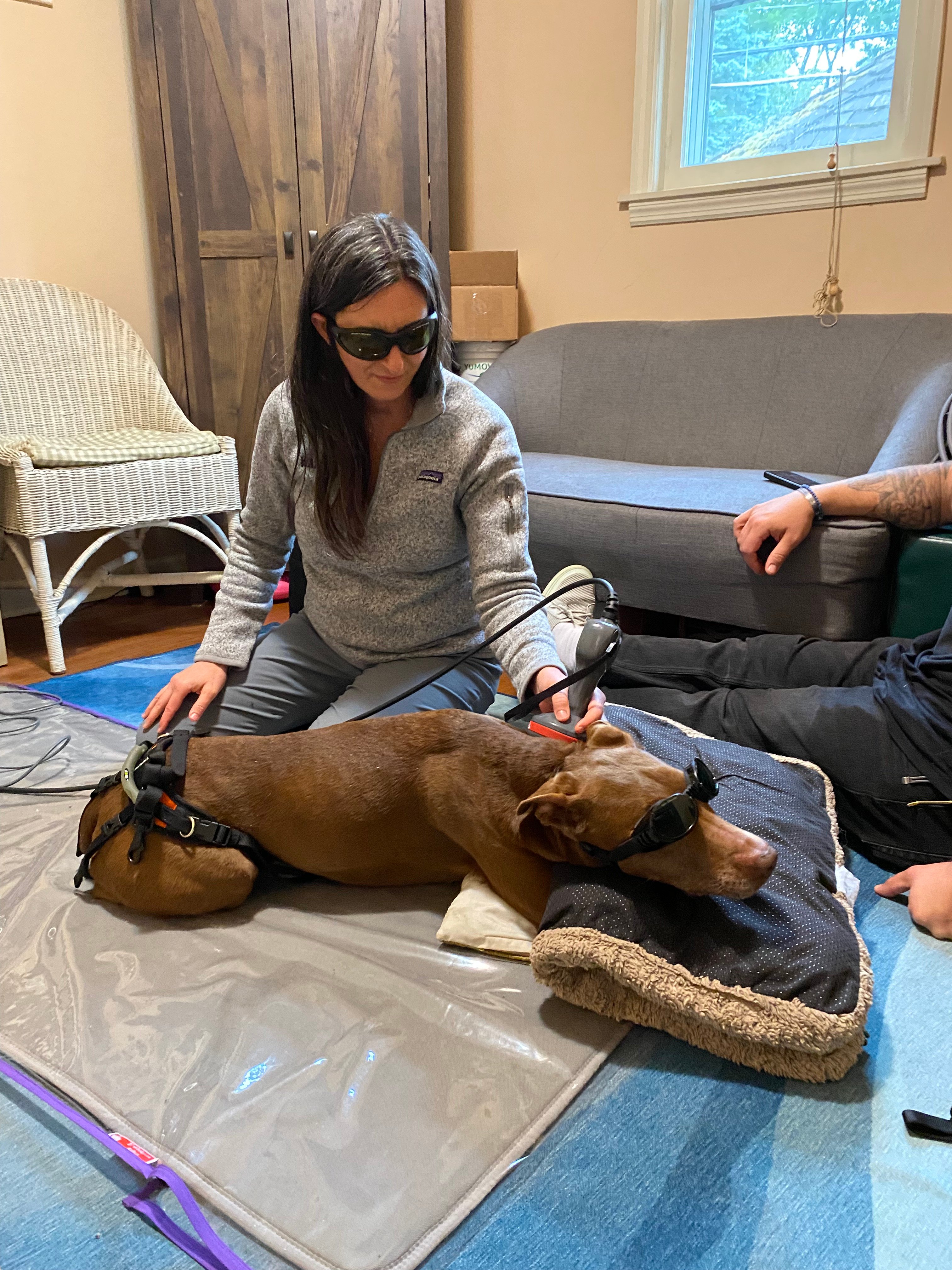 Help Addie Walk Again, Emergency Surgery Needed campaign photo, 4 of 6