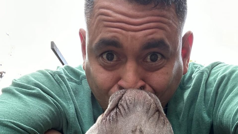 Help Troy and June Reunite with Family in Colombia photo
