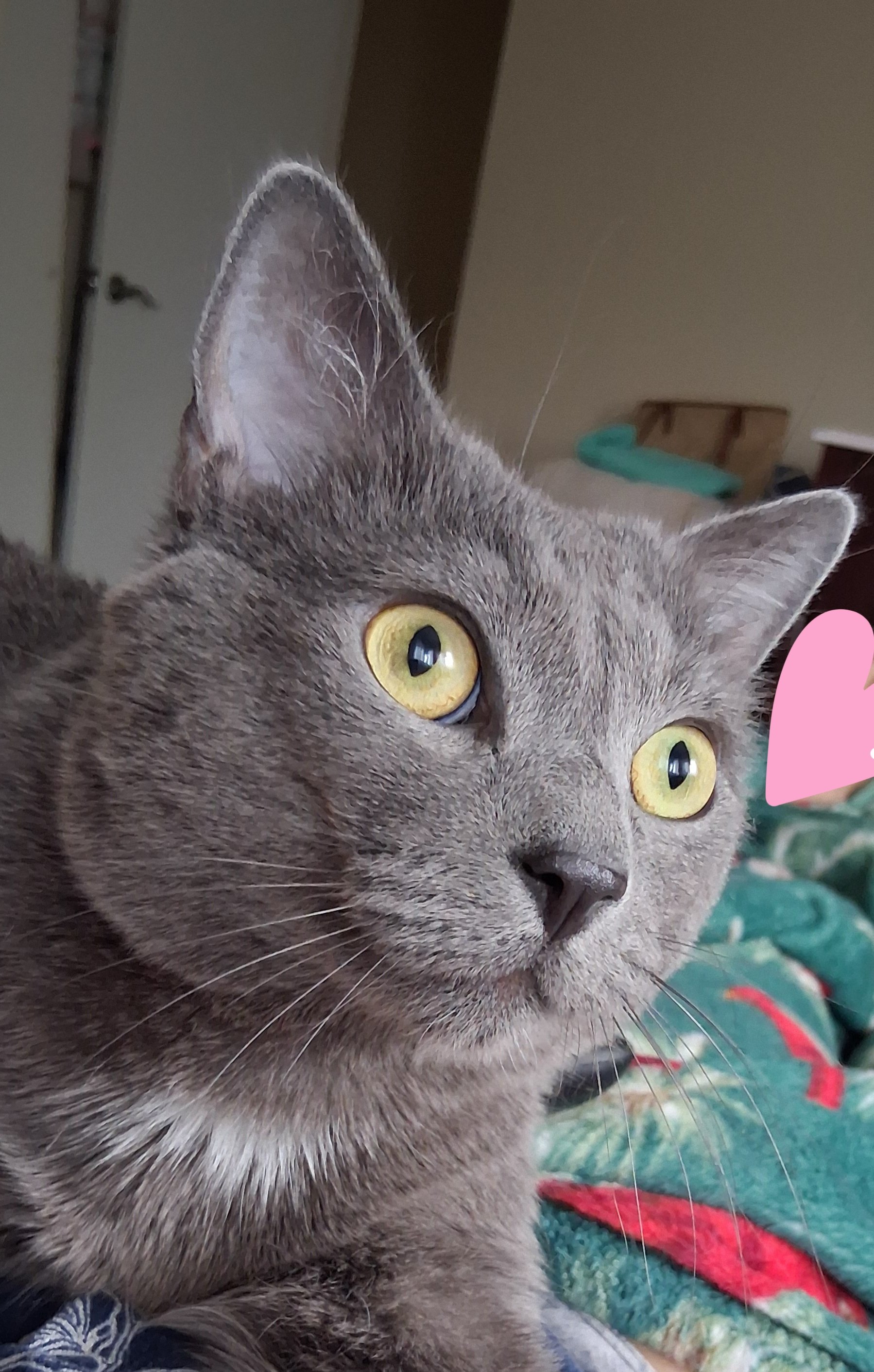 Help Catherina Pay Her Medical Bills and Rent campaign photo, 5 of 8