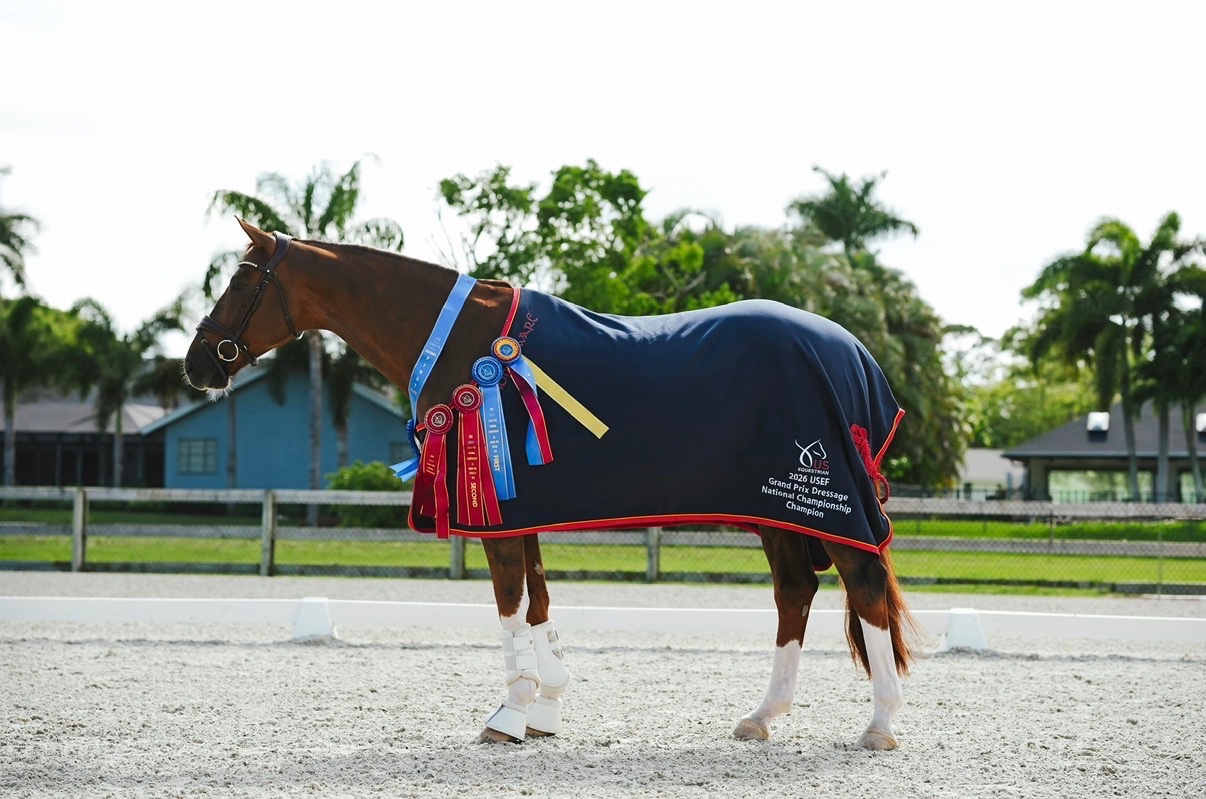 Help Ellesse & Quintessential Compete in Europe campaign photo, 7 of 8
