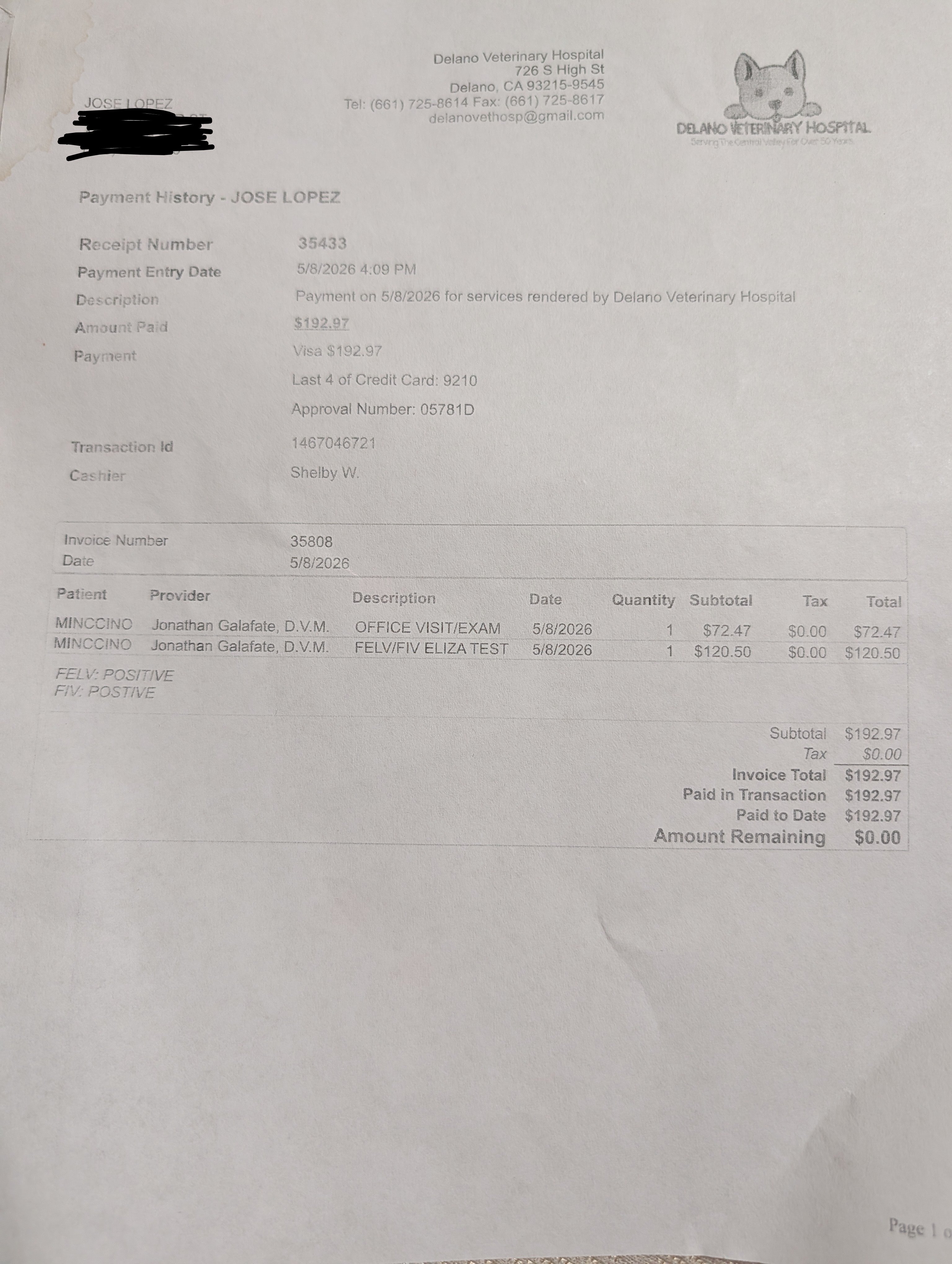 Fundraiser by Jose Lopez : Help get Minccino to a rescue!