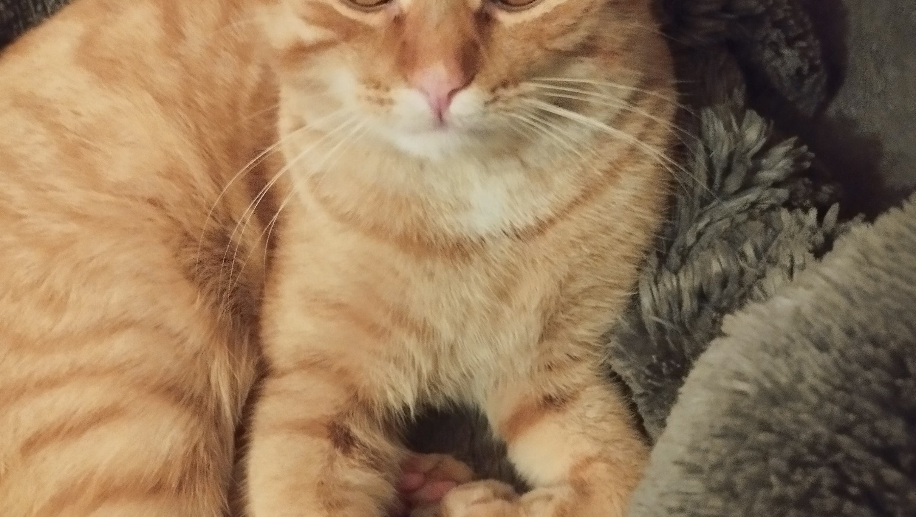 Please help us, I'm really at my wit's end. photo
