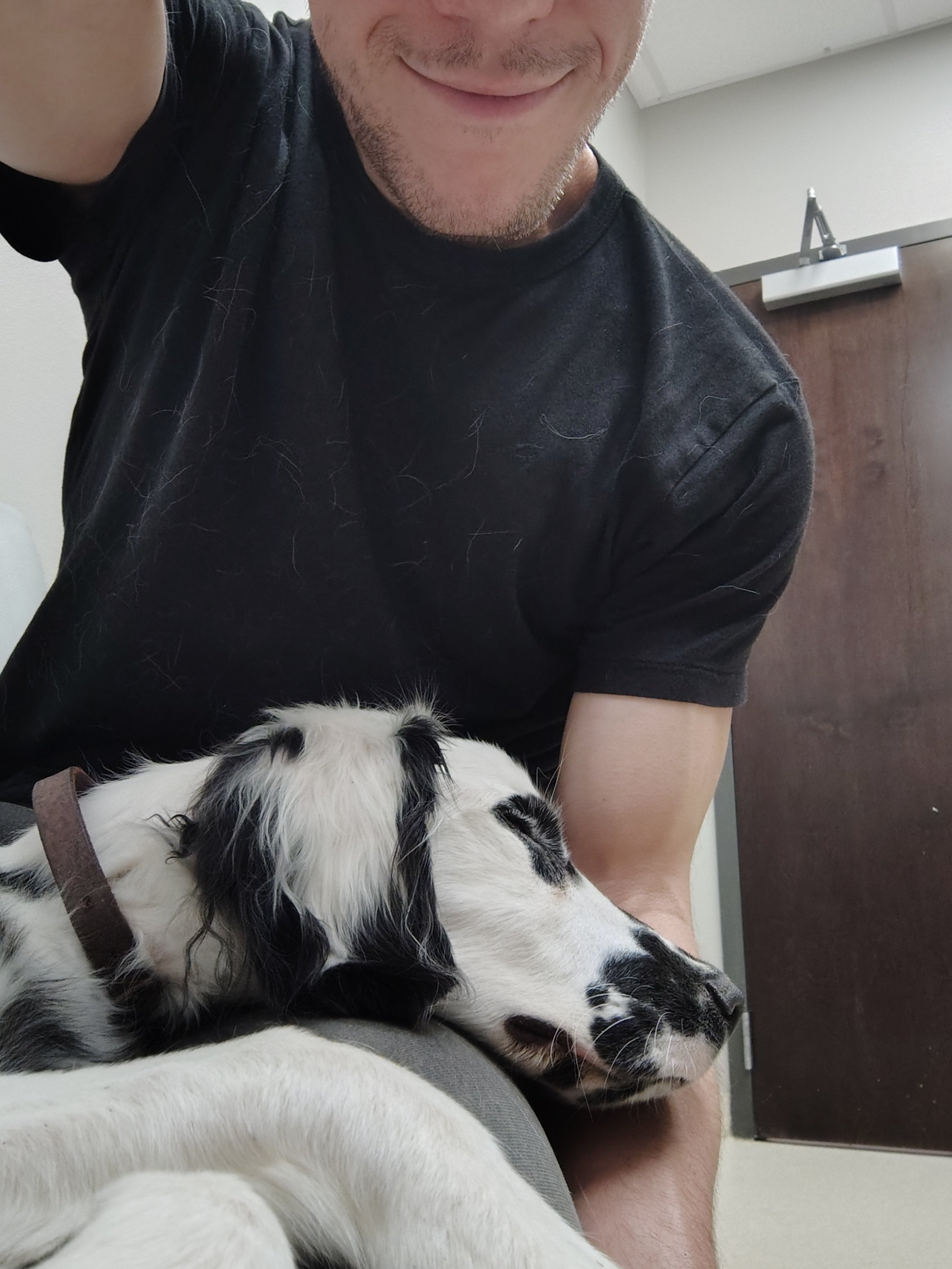 Help Save Louis: Urgent Parvo Treatment campaign photo, 2 of 7