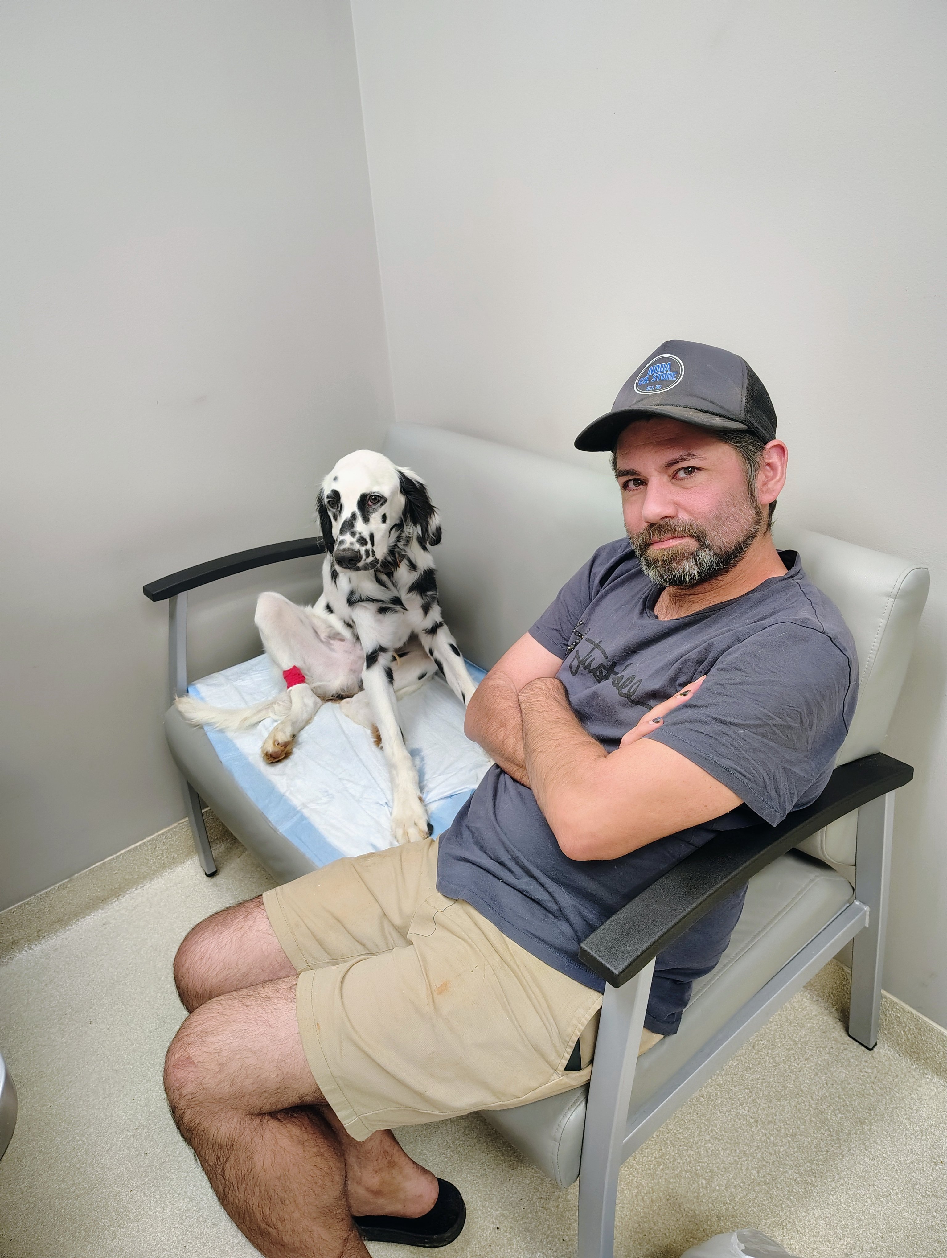 Help Save Louis: Urgent Parvo Treatment campaign photo, 5 of 7
