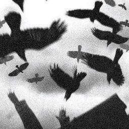 Support Our Indie Film 'Murder of Crows' campaign photo, 4 of 7