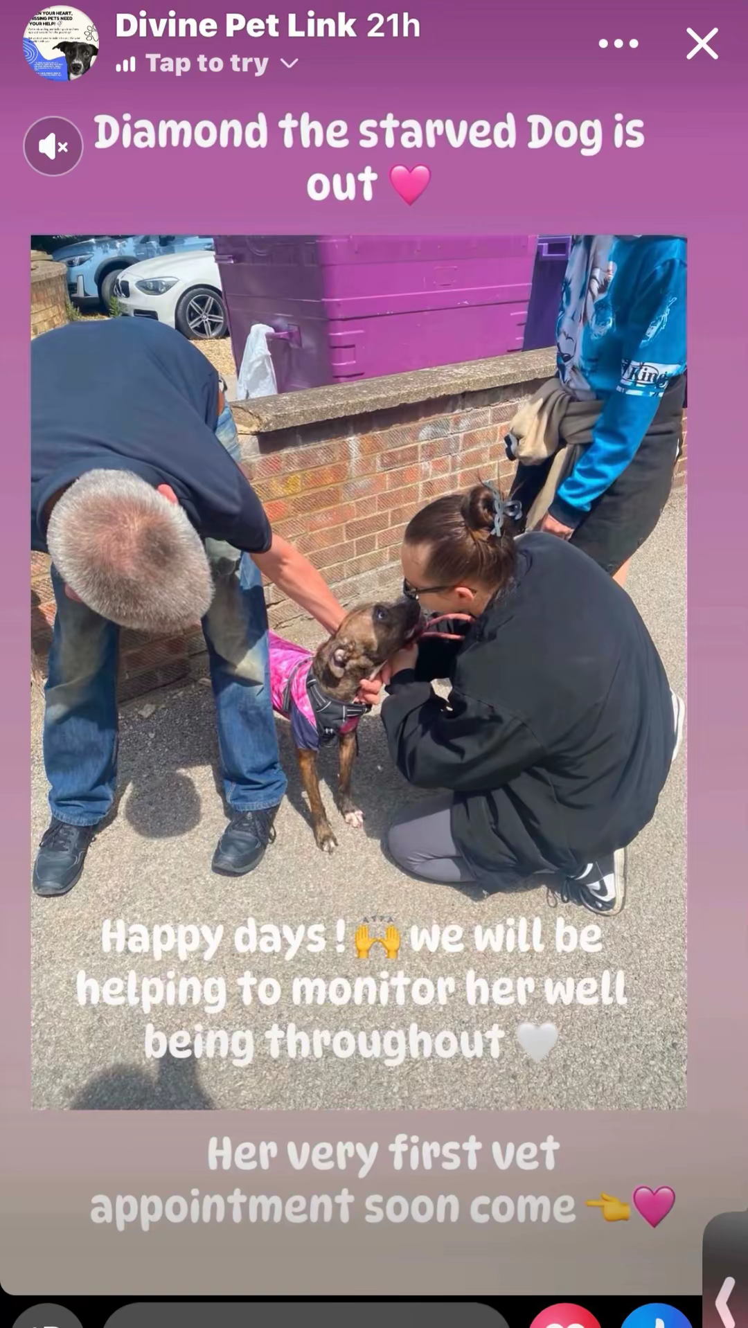 Starved Diamond is in Rescue campaign photo, 2 of 7