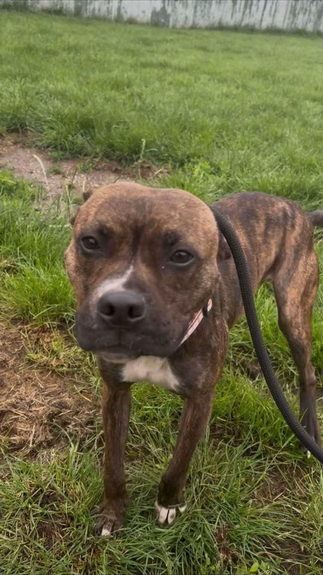 Starved Diamond is in Rescue campaign photo, 4 of 7