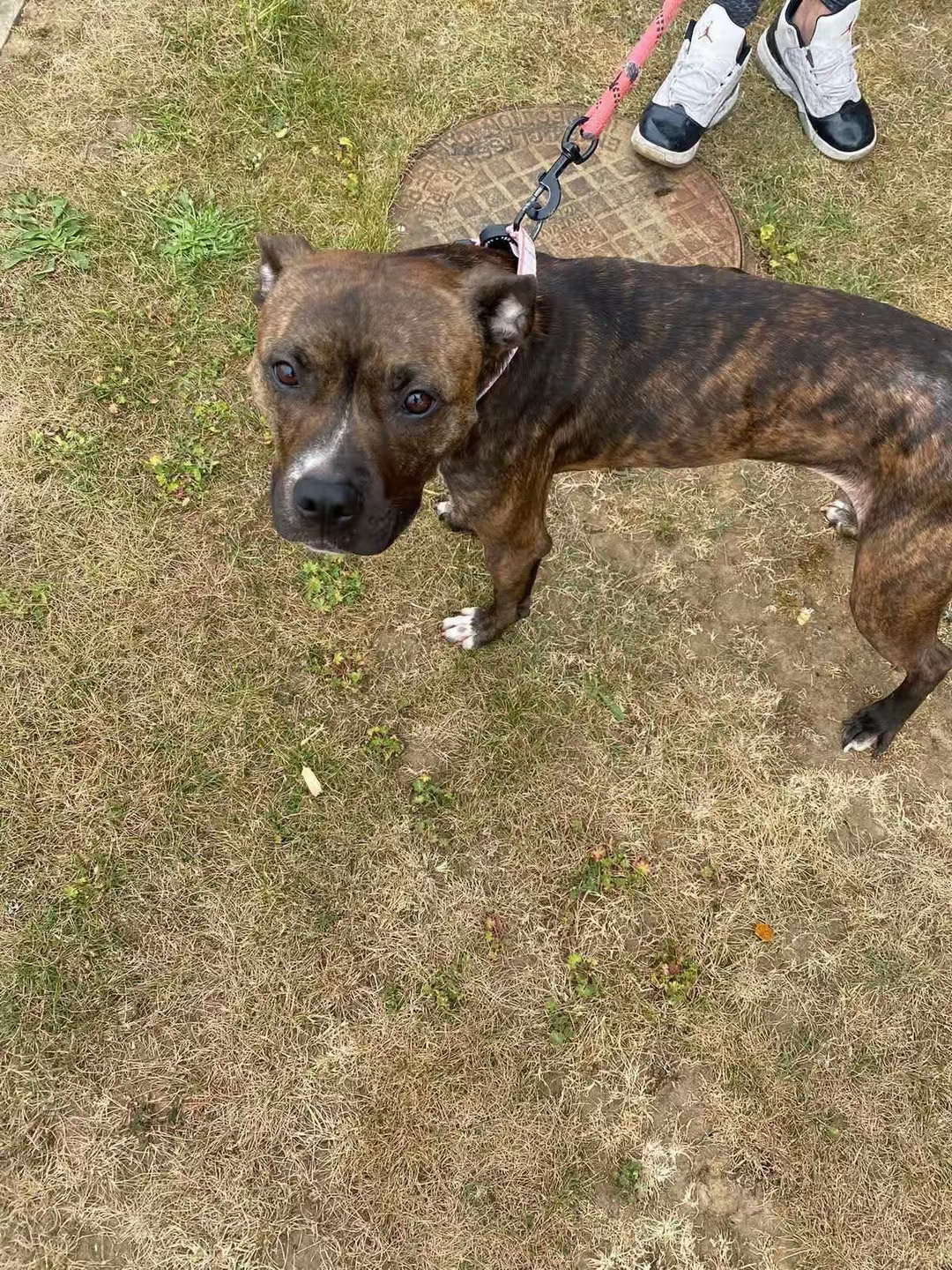 Starved Diamond is in Rescue campaign photo, 6 of 7