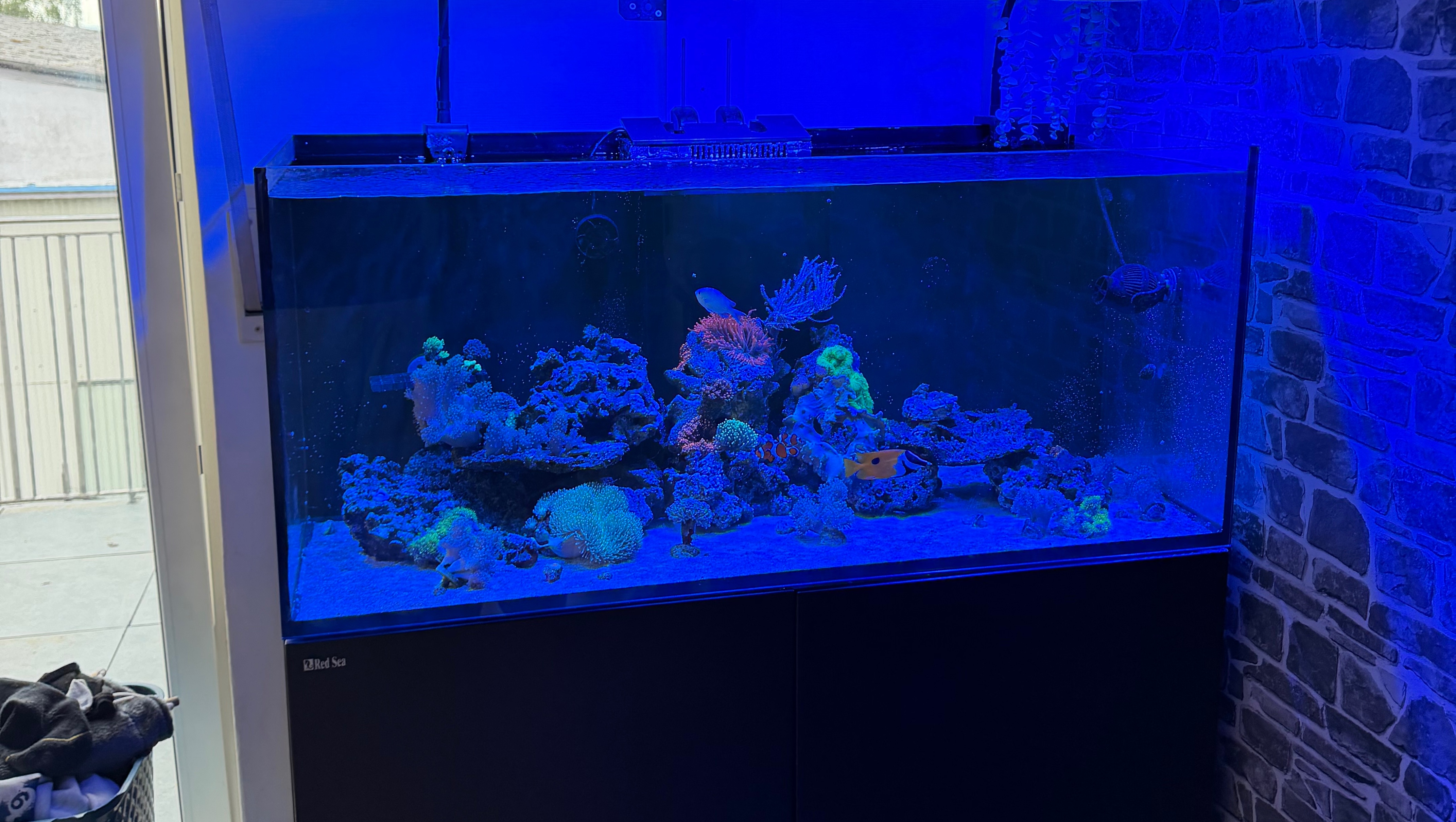 Helft uns das Leben der Unterwasser Welt zu schützen. photo