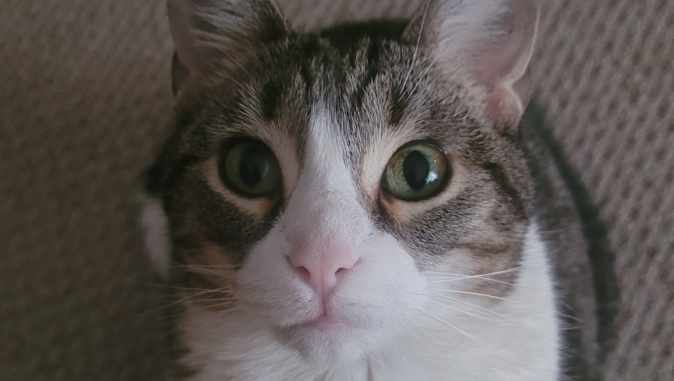 Support Kiki’s Fight Against Her Illness photo