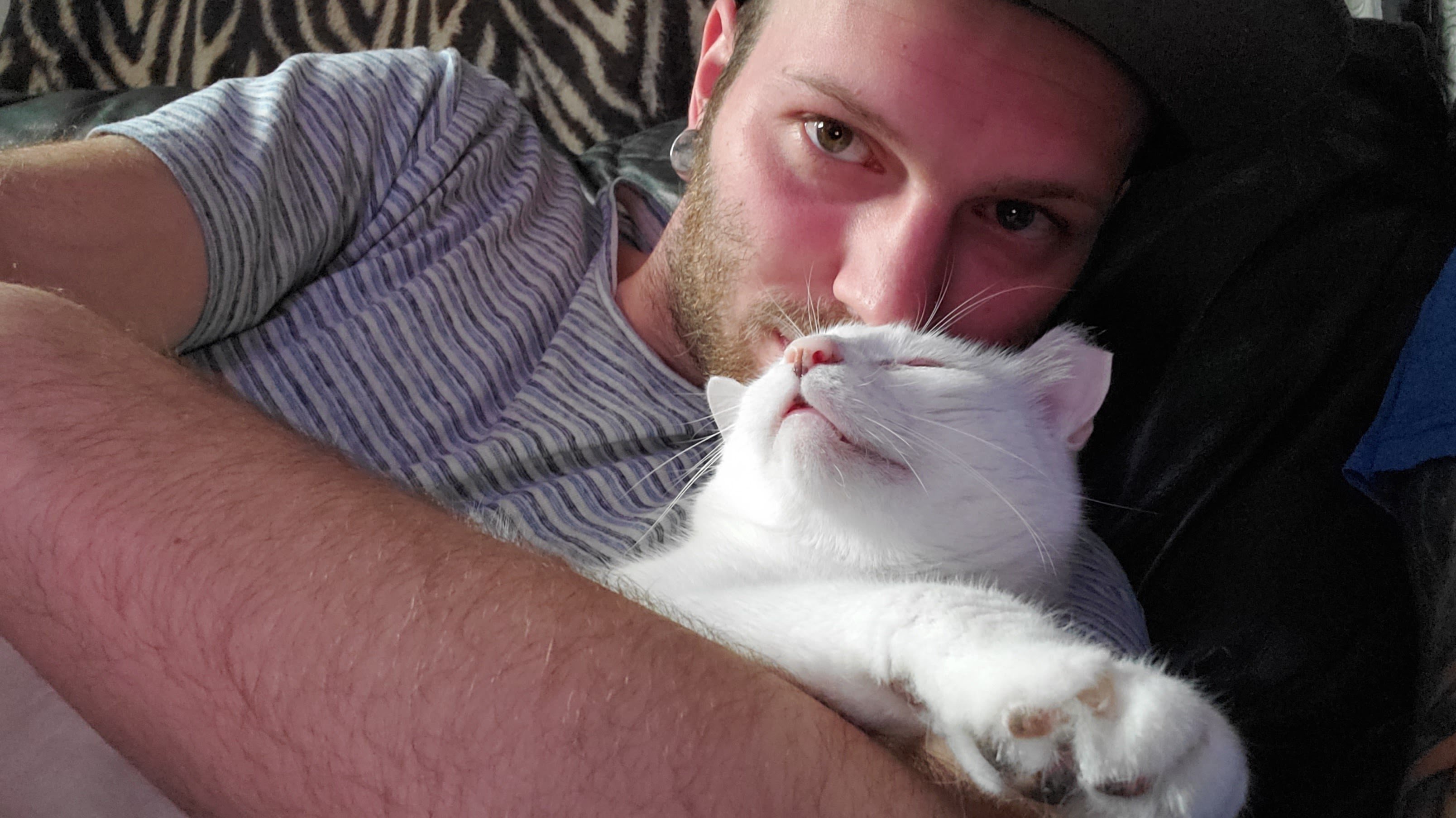 Help Me Cremate White Cat campaign photo, 7 of 7